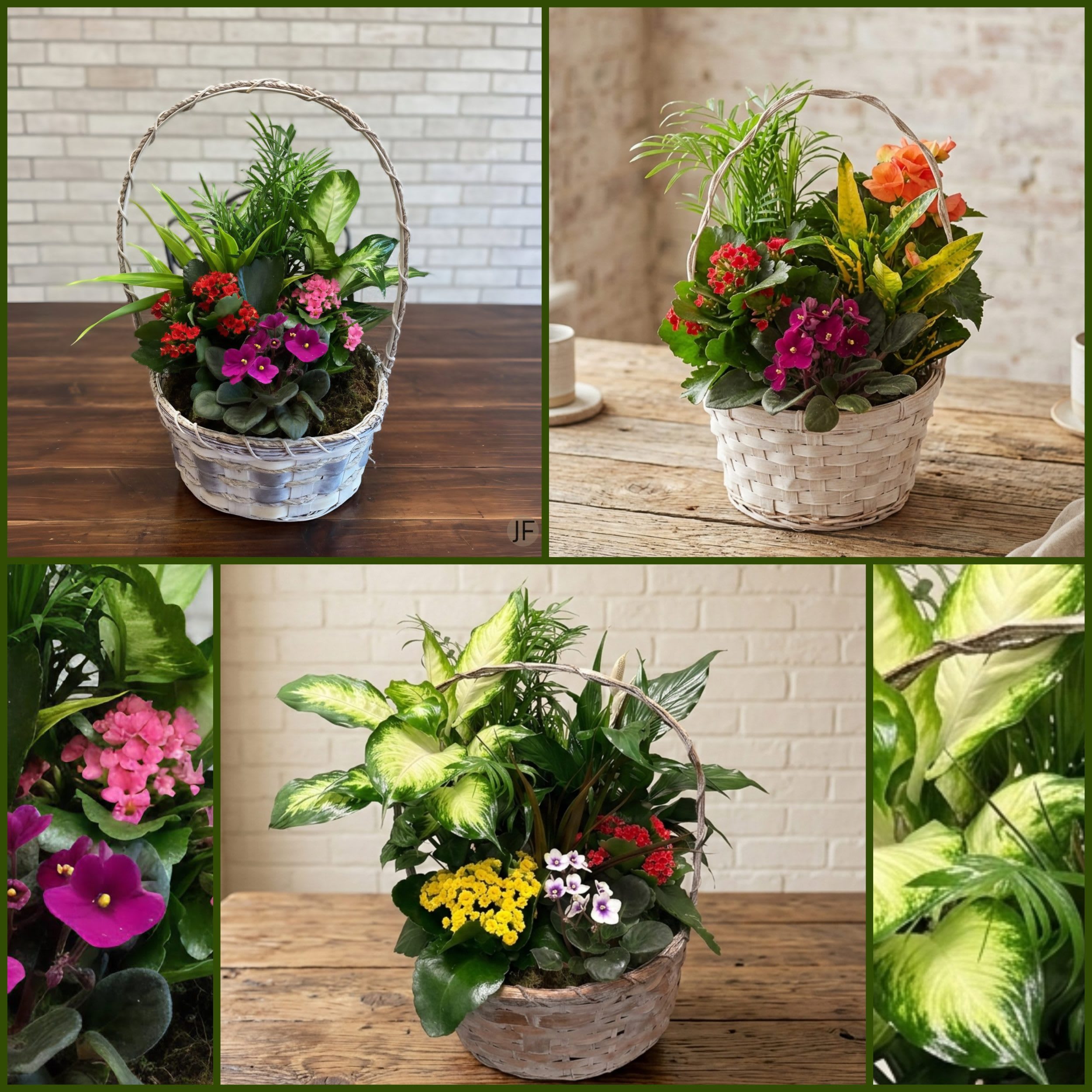 Flowering Dish Garden