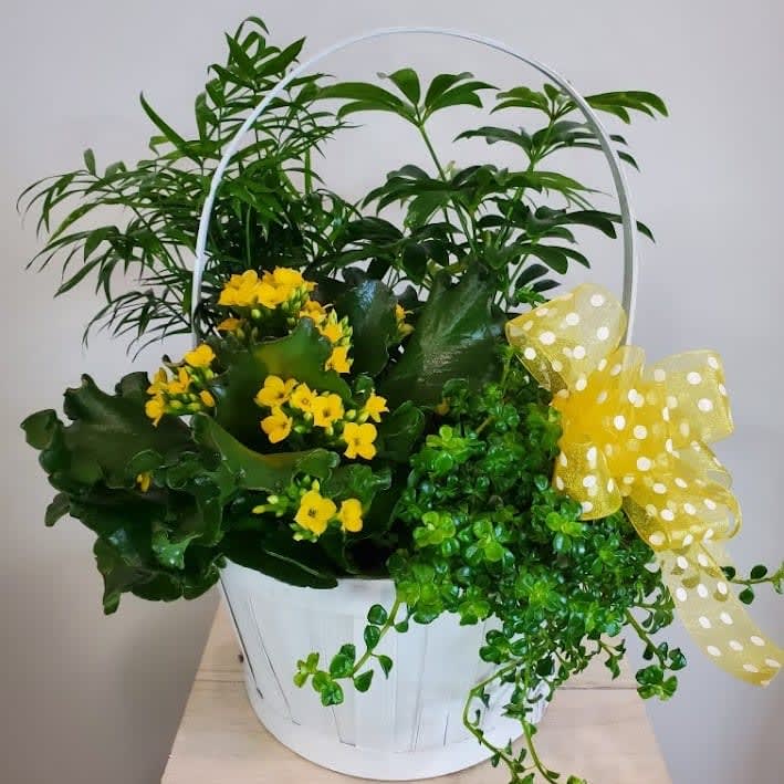 Susie's Favorite! Flower Bouquet