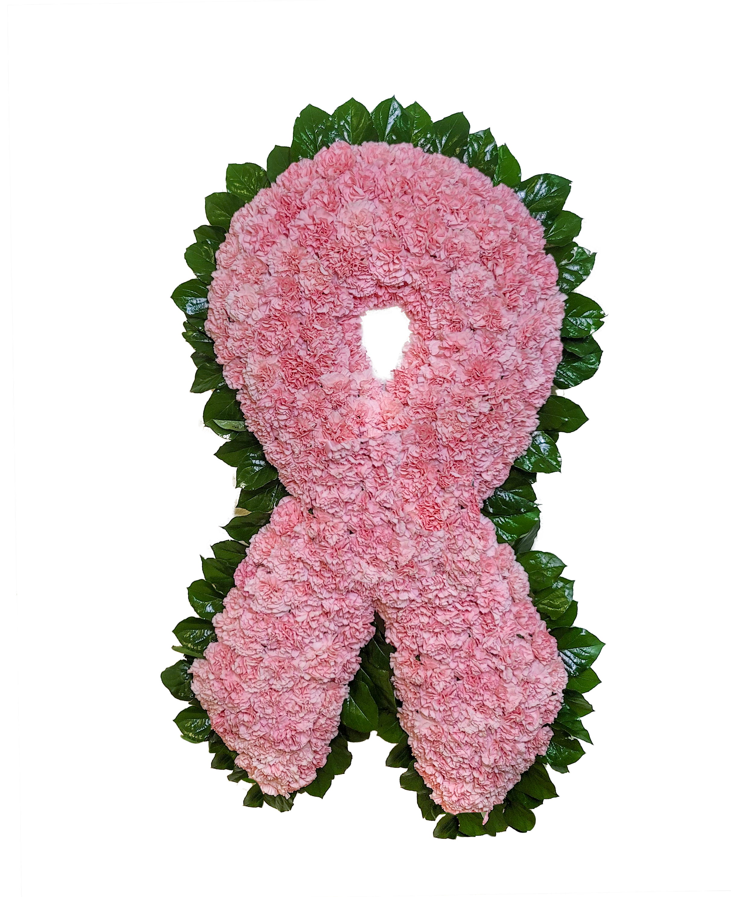 D-11 Lazo de cancer en claveles Flower Bouquet