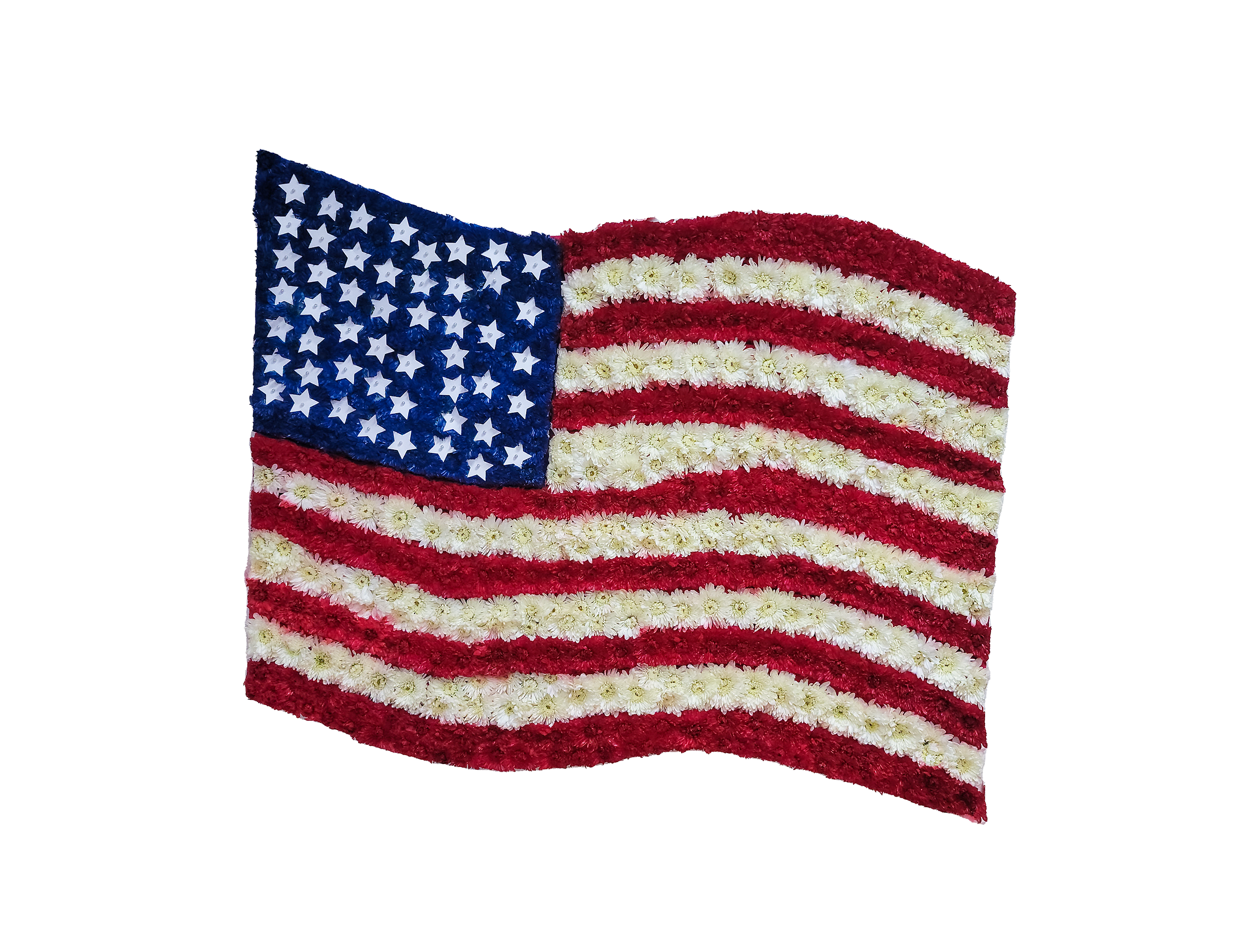 D-14 Bandera americana