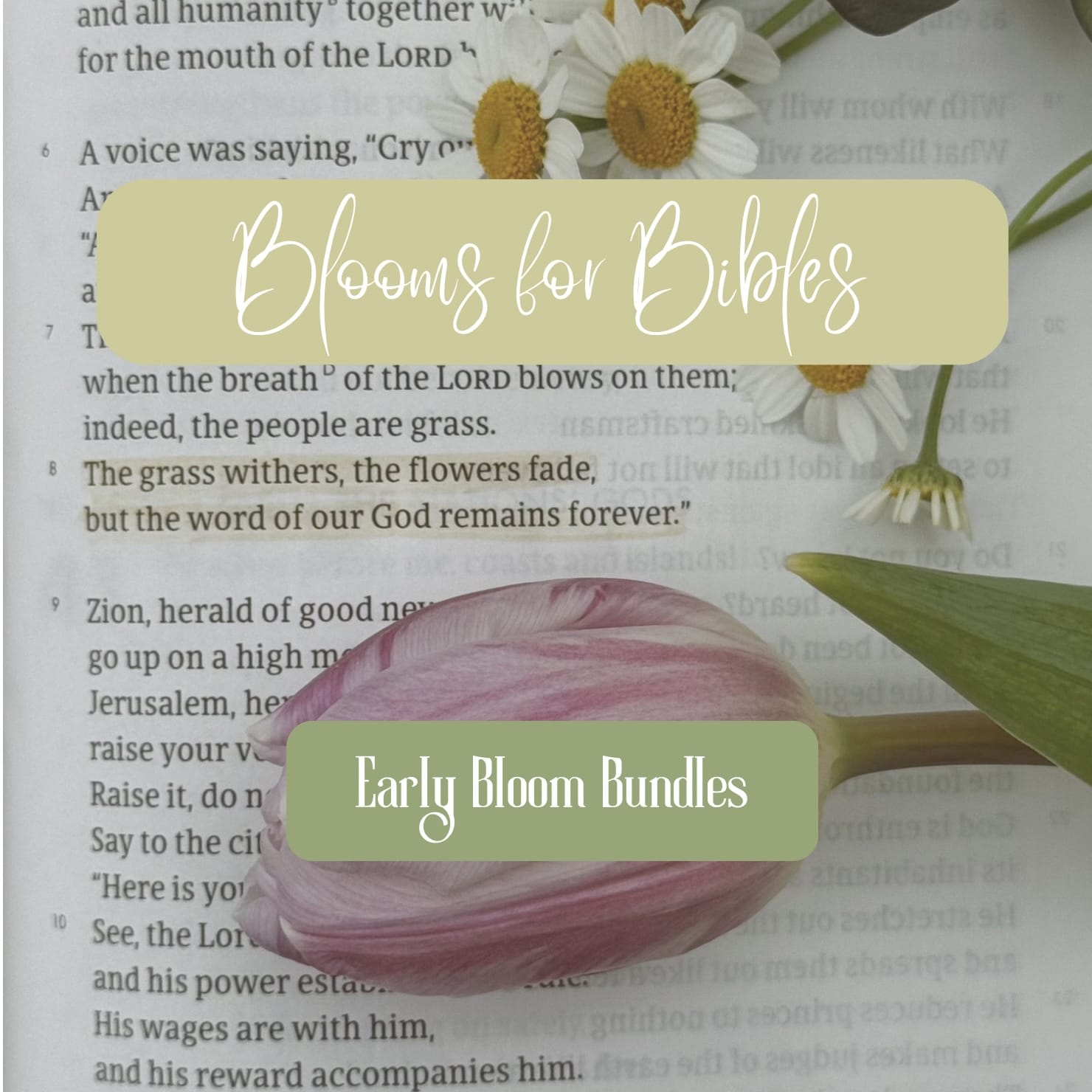 Early Bloom Bundle Flower Bouquet