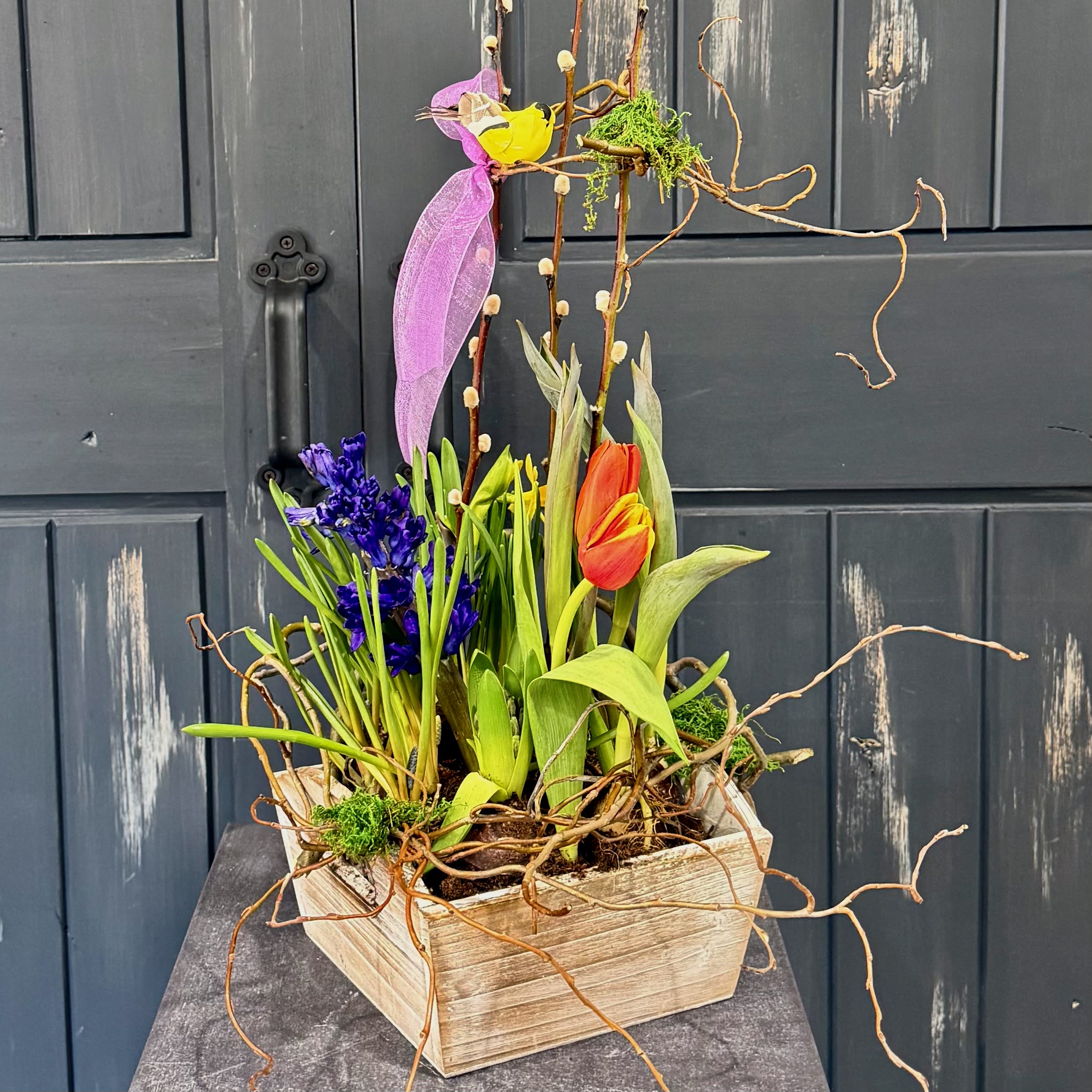 Spring Bulb Box Garden