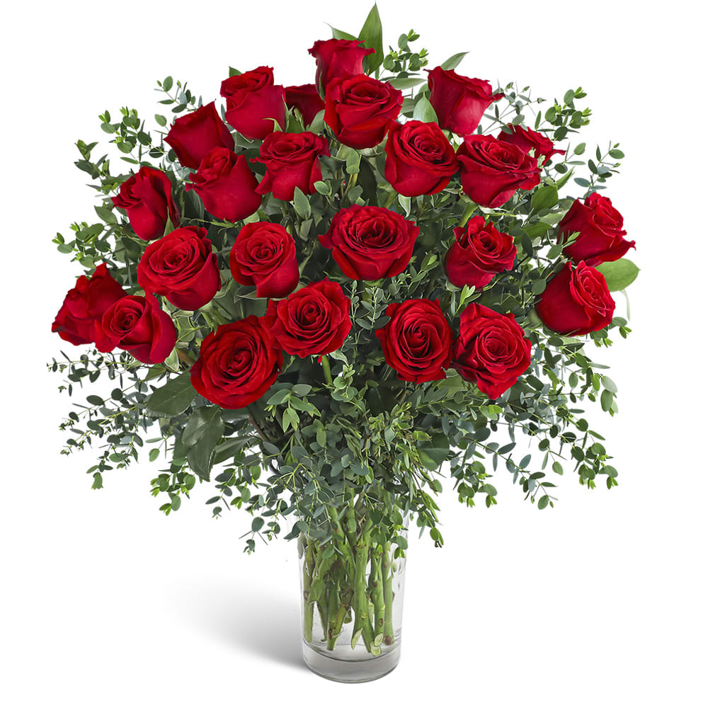 Two Dozen Red Hot Roses Flower Bouquet