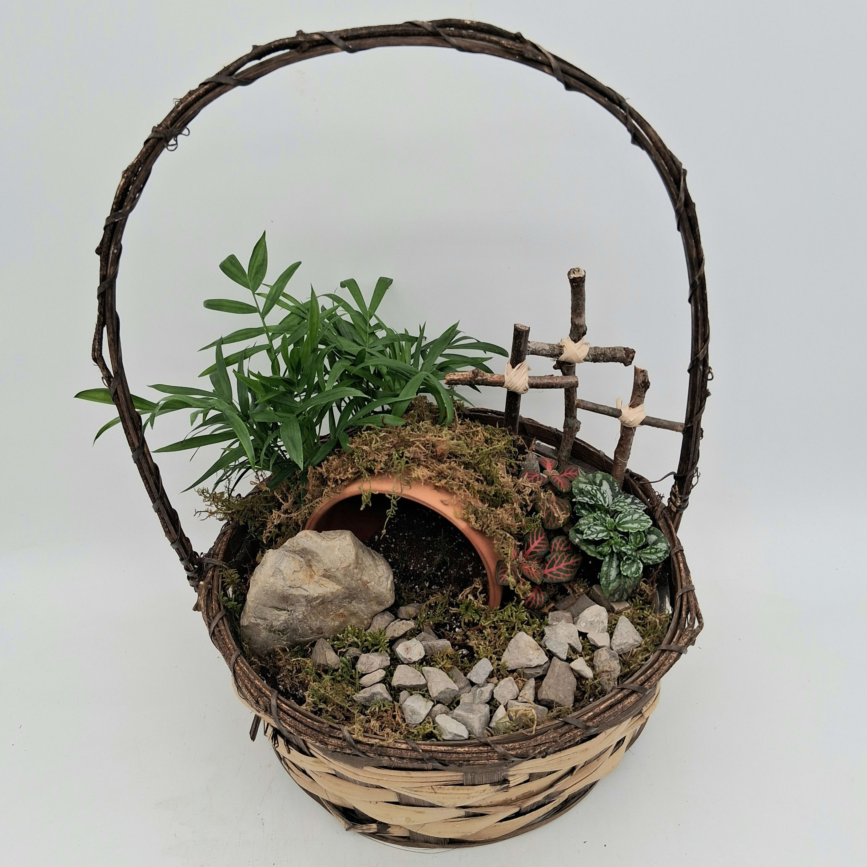 Resurrection Garden Tropical Plant Basket Flower Bouquet