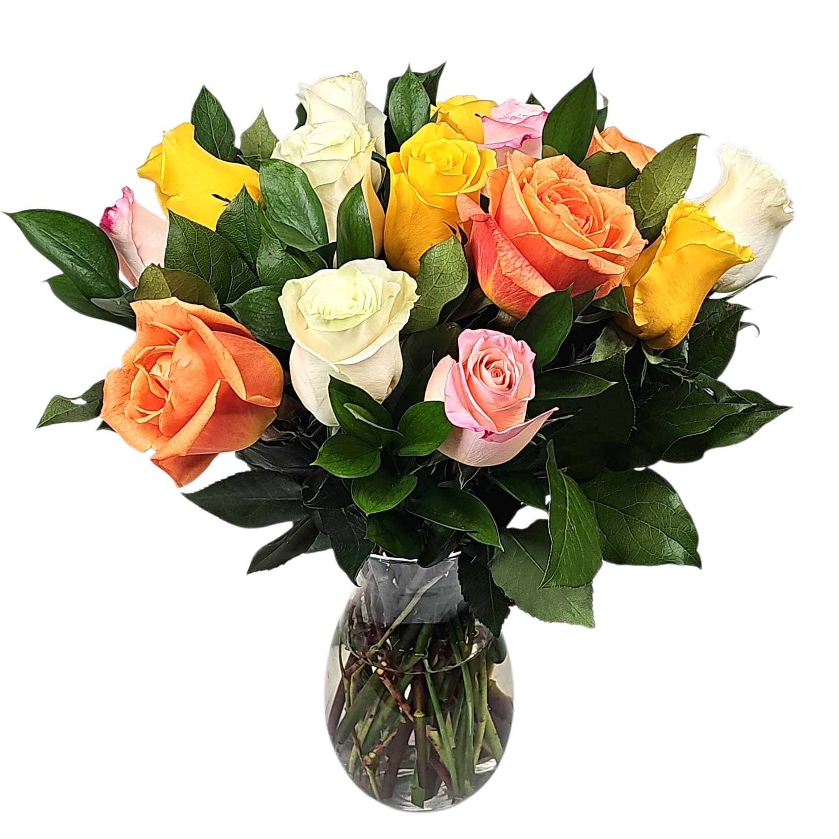 Dz Roses Mixed Colors (COLORS VARY) Flower Bouquet