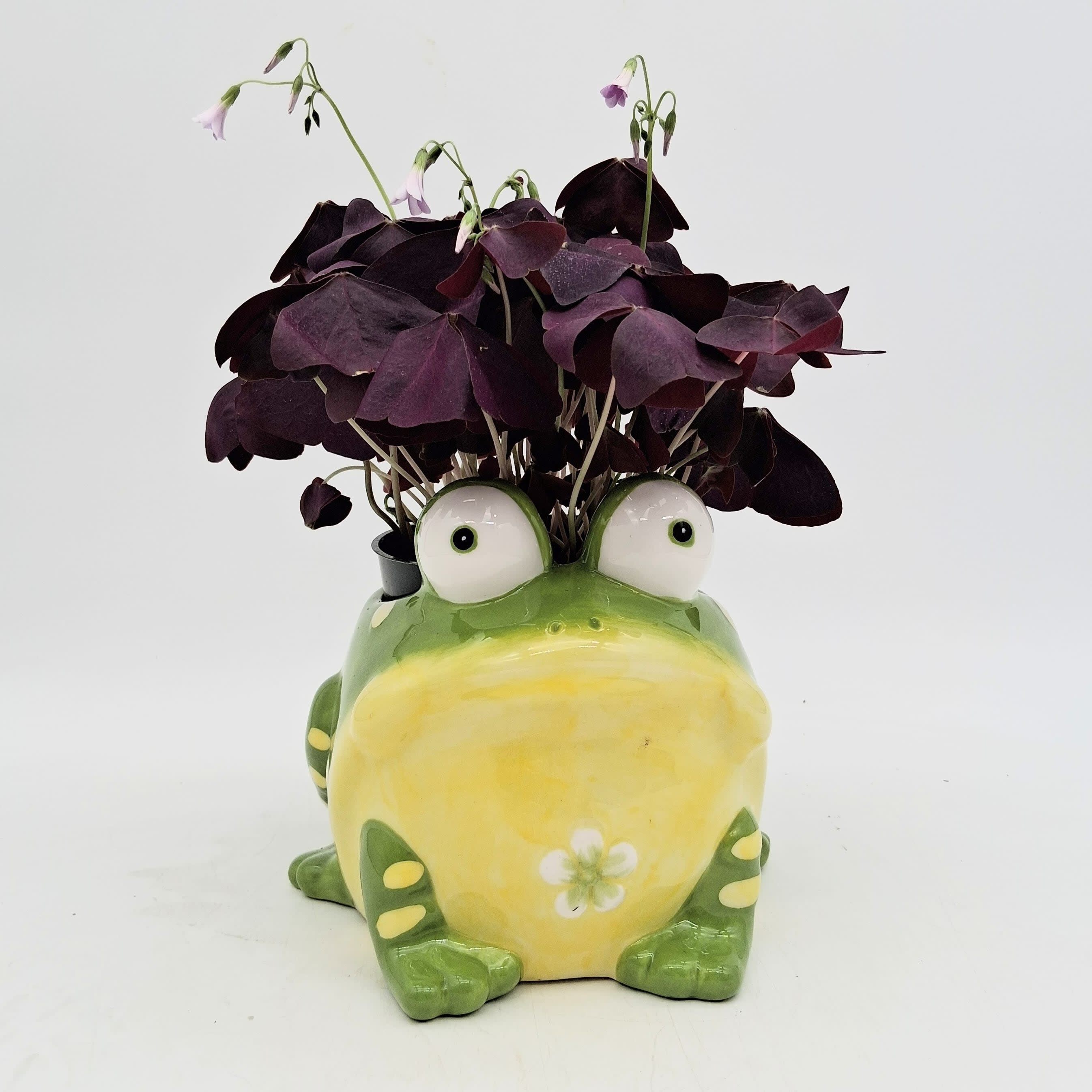 Lucky Red Clover Flower Bouquet