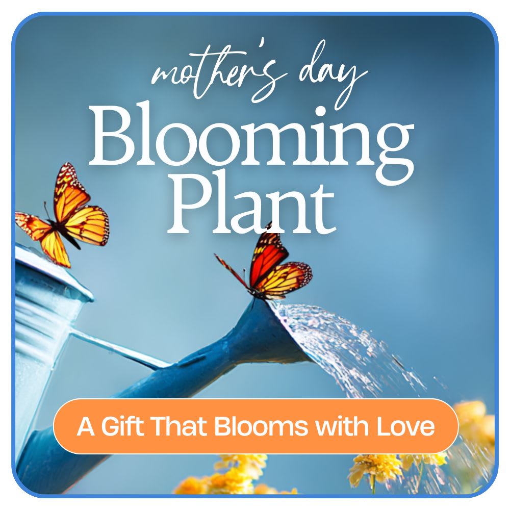 Mother's Day Blooming Plant Flower Bouquet