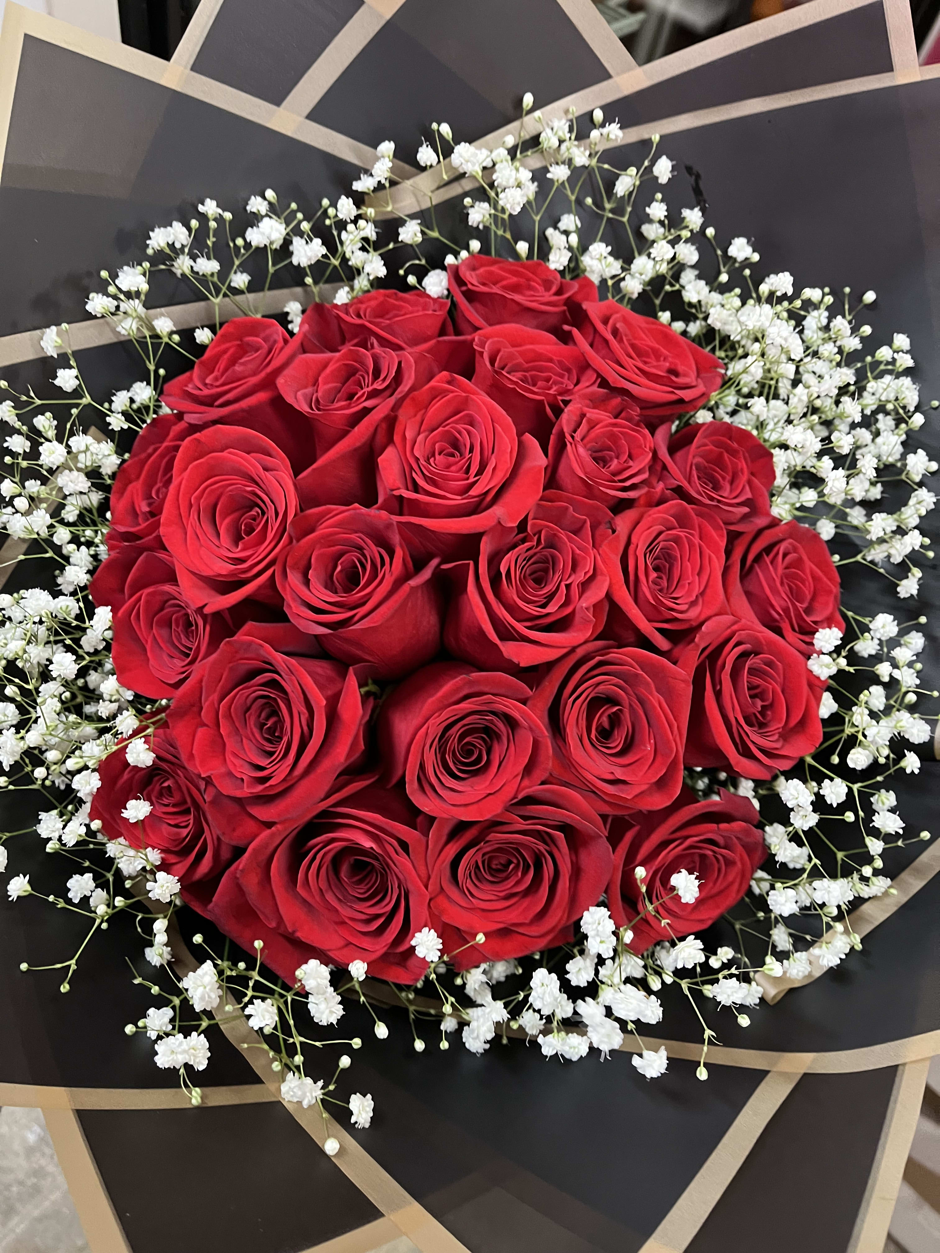 Ramos 25 Red Roses