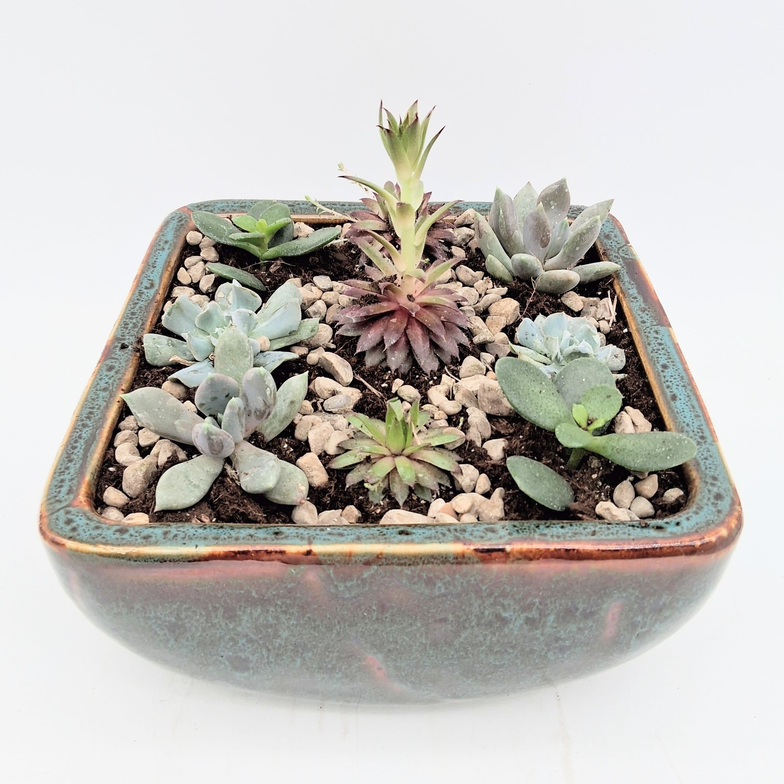 Succulent Garden Flower Bouquet