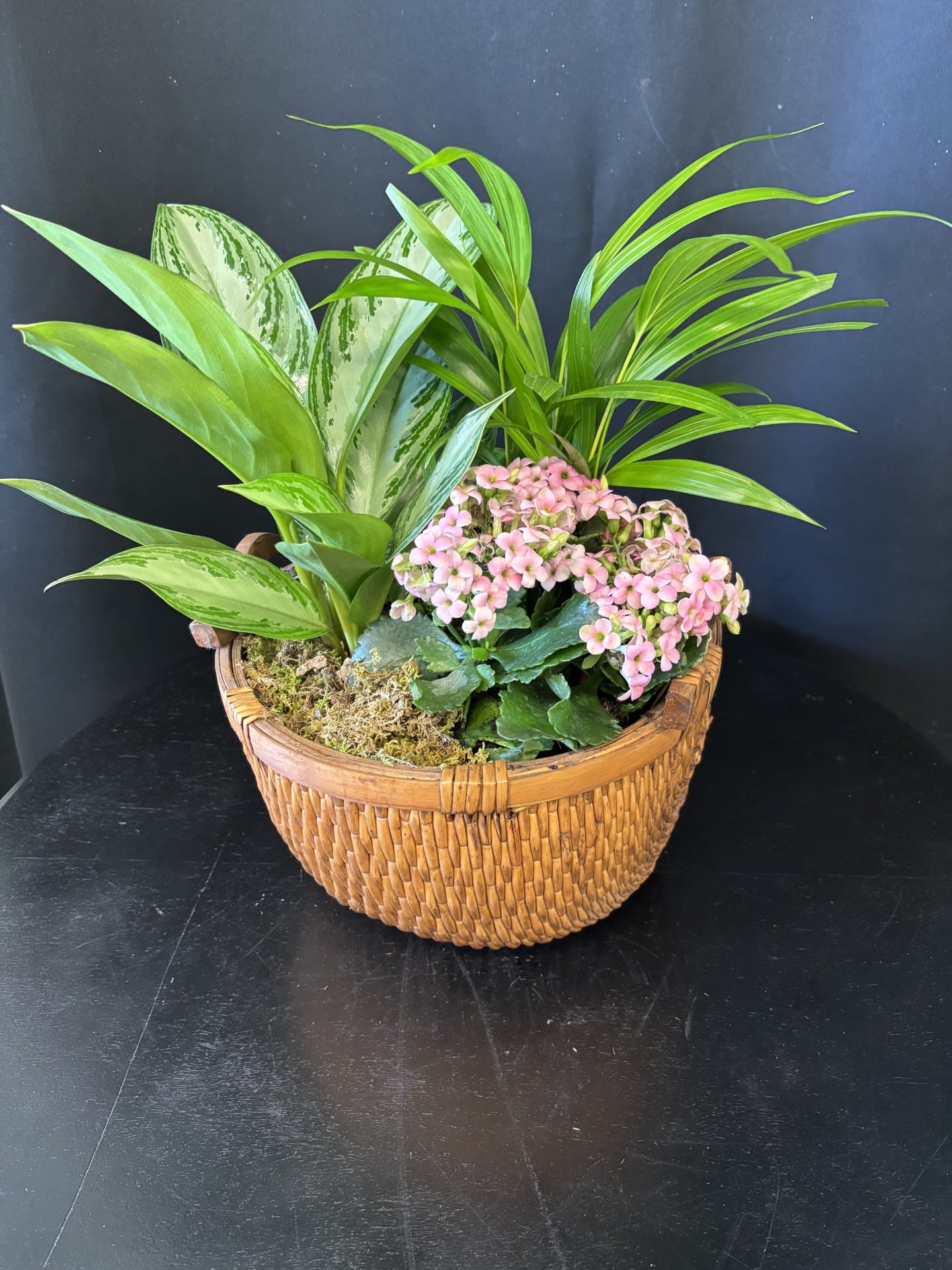 Planter with Kalanchoe