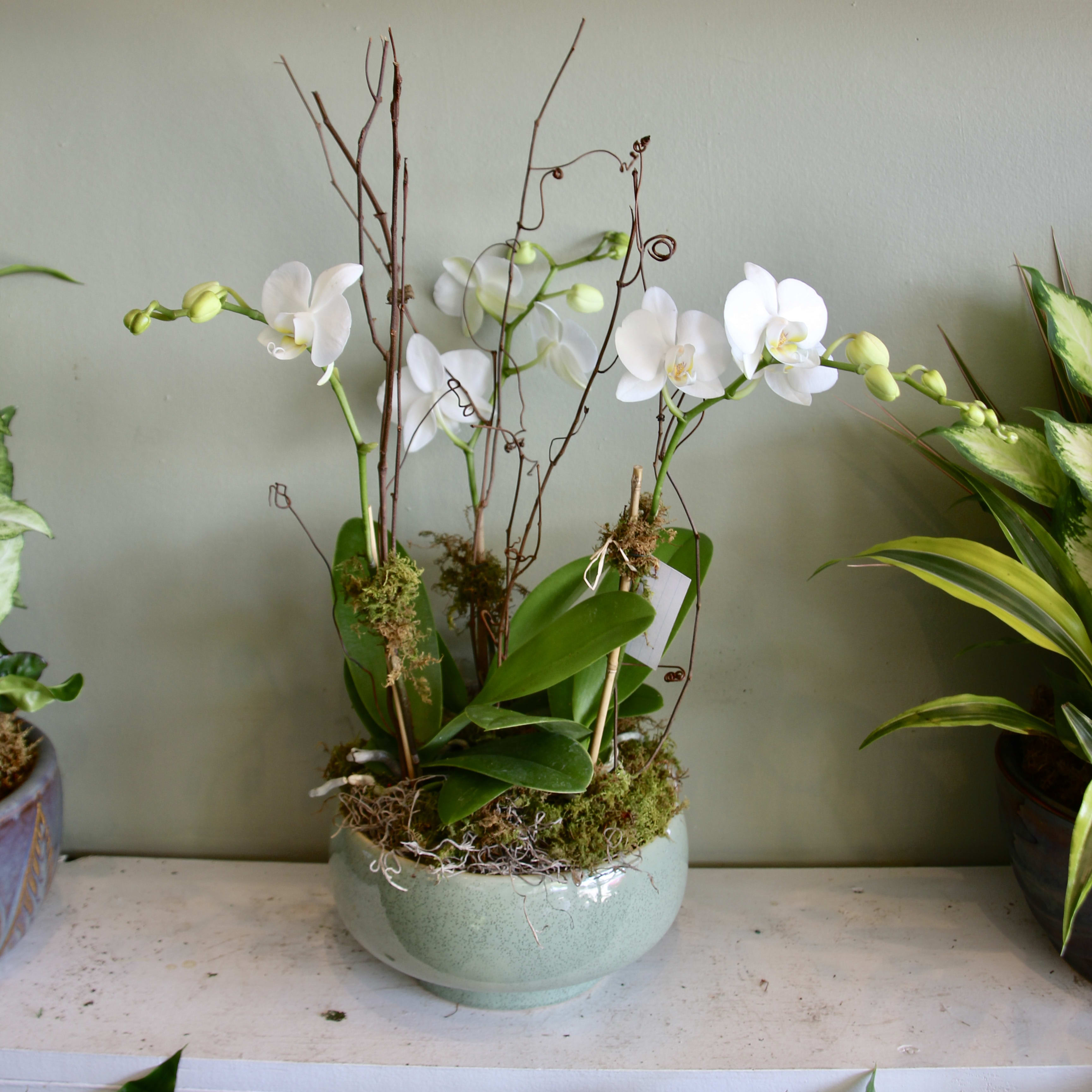 Mini Orchid Garden Flower Bouquet