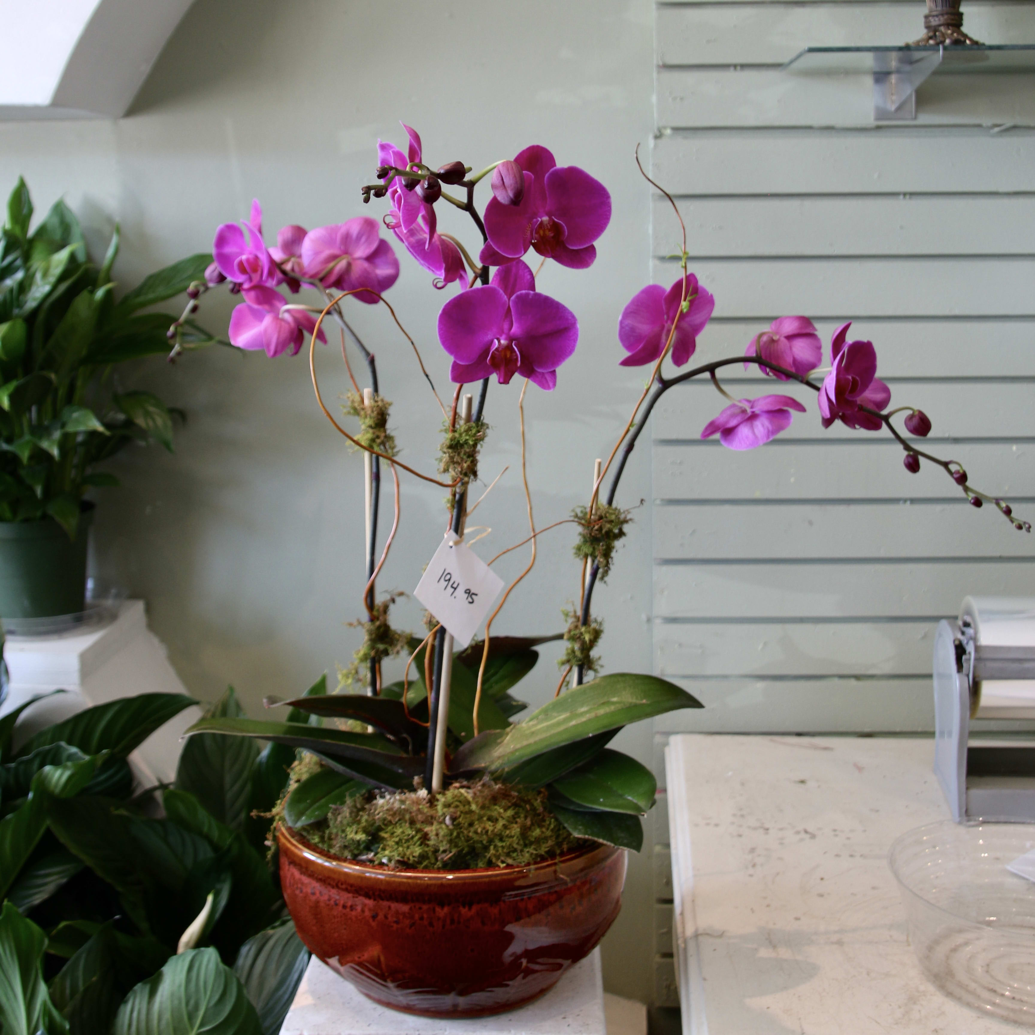 Fuschia Orchid Garden Flower Bouquet