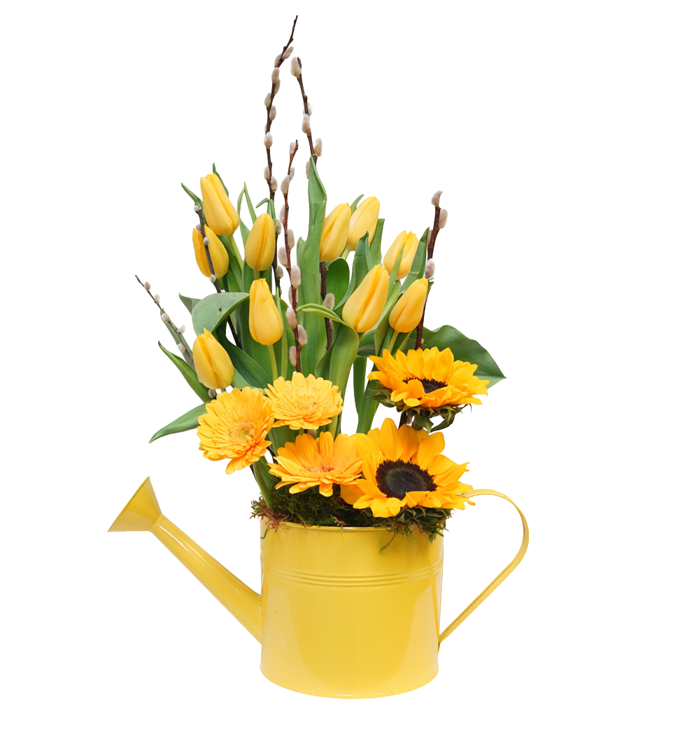 AM-12 Regadera de tulipanes, gerberas, girasoles y pussy willow