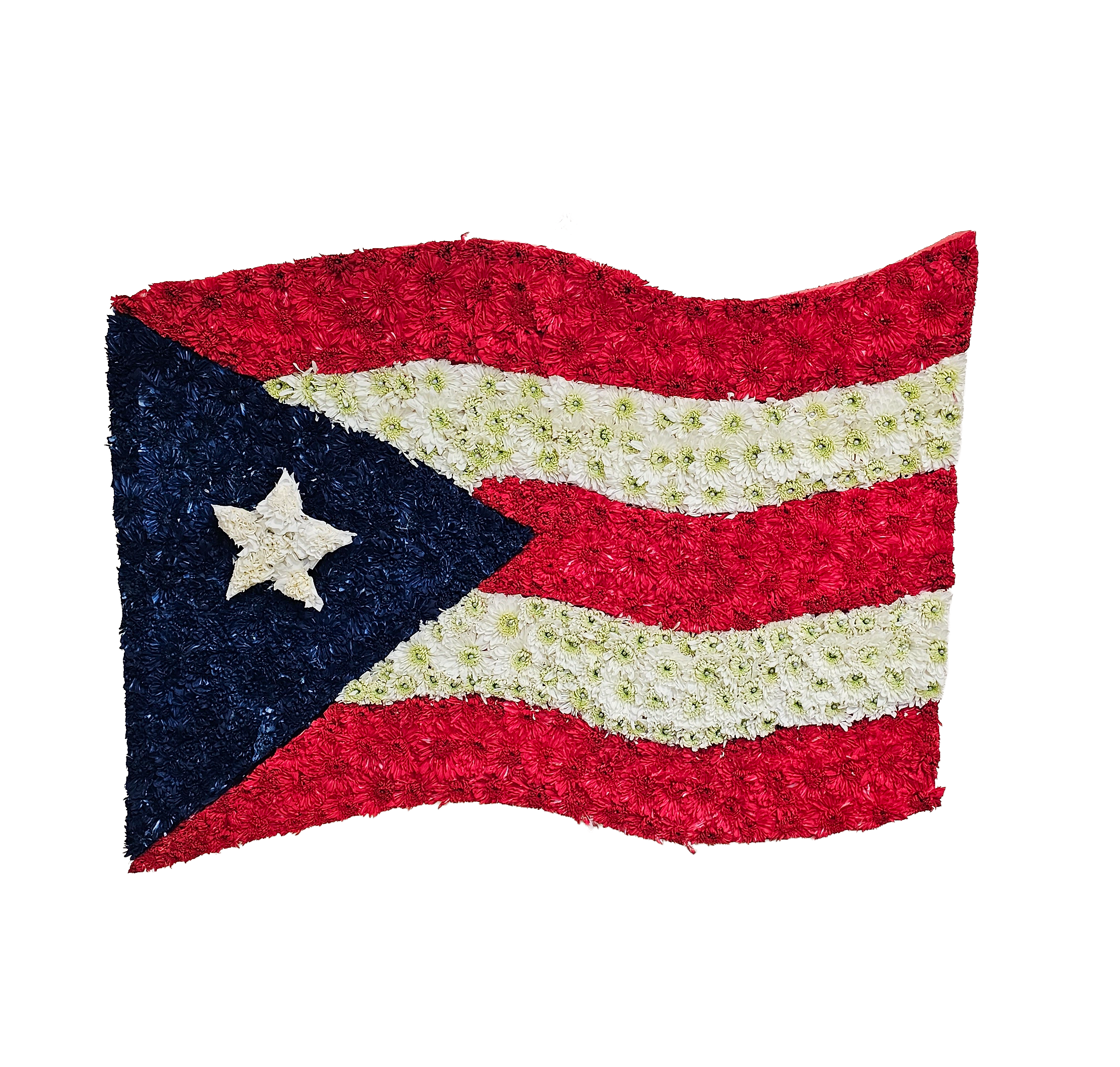 D-10 Bandera de Puerto Rico con cinta impresa