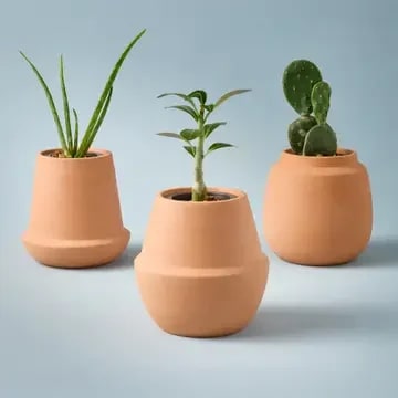 Terracotta Grow Kits