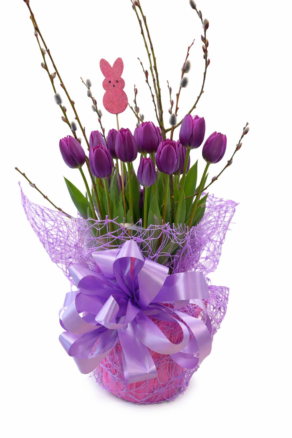 Purple Tulips