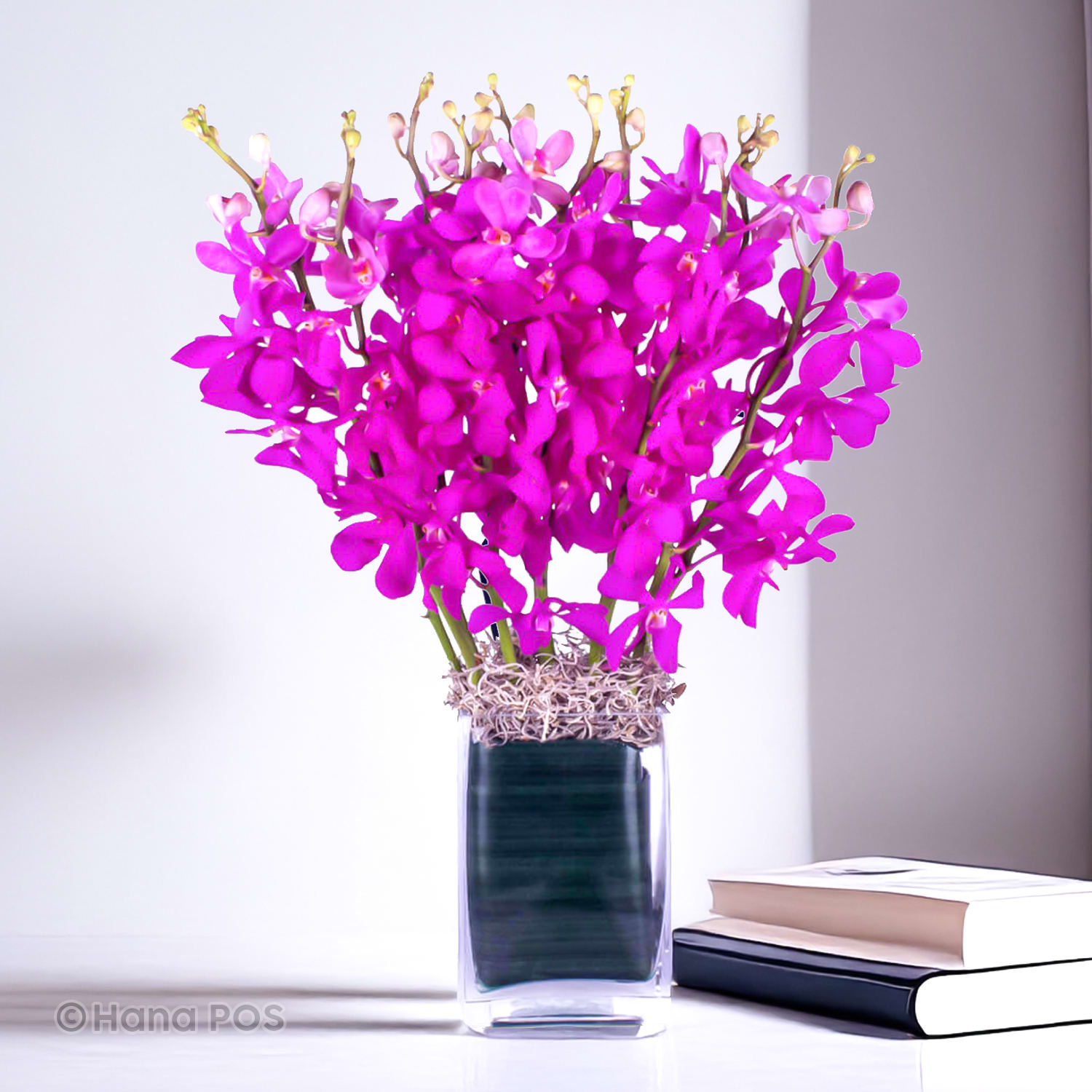 Purple Mokara Orchids