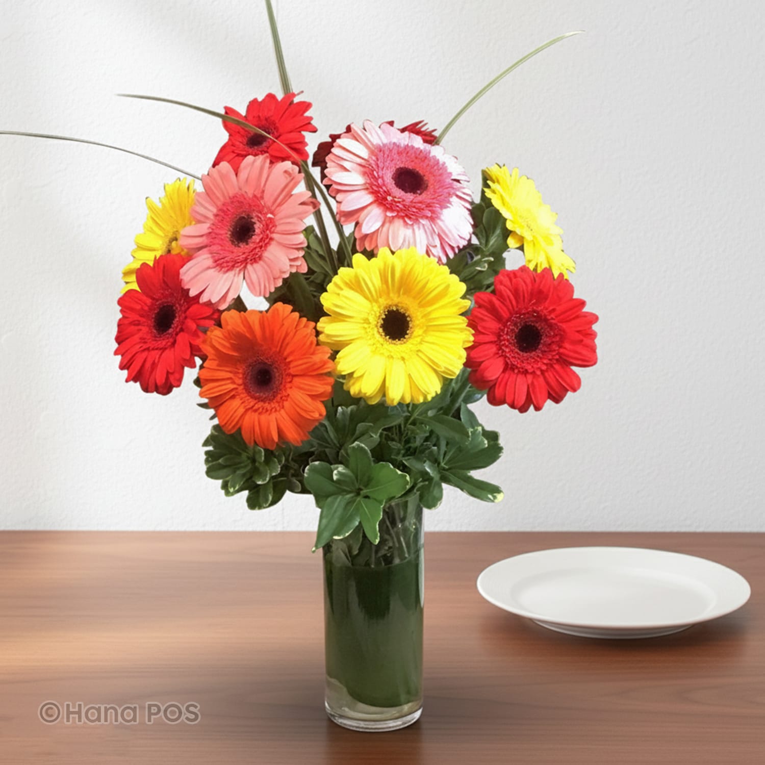 Gerbera Rainbow