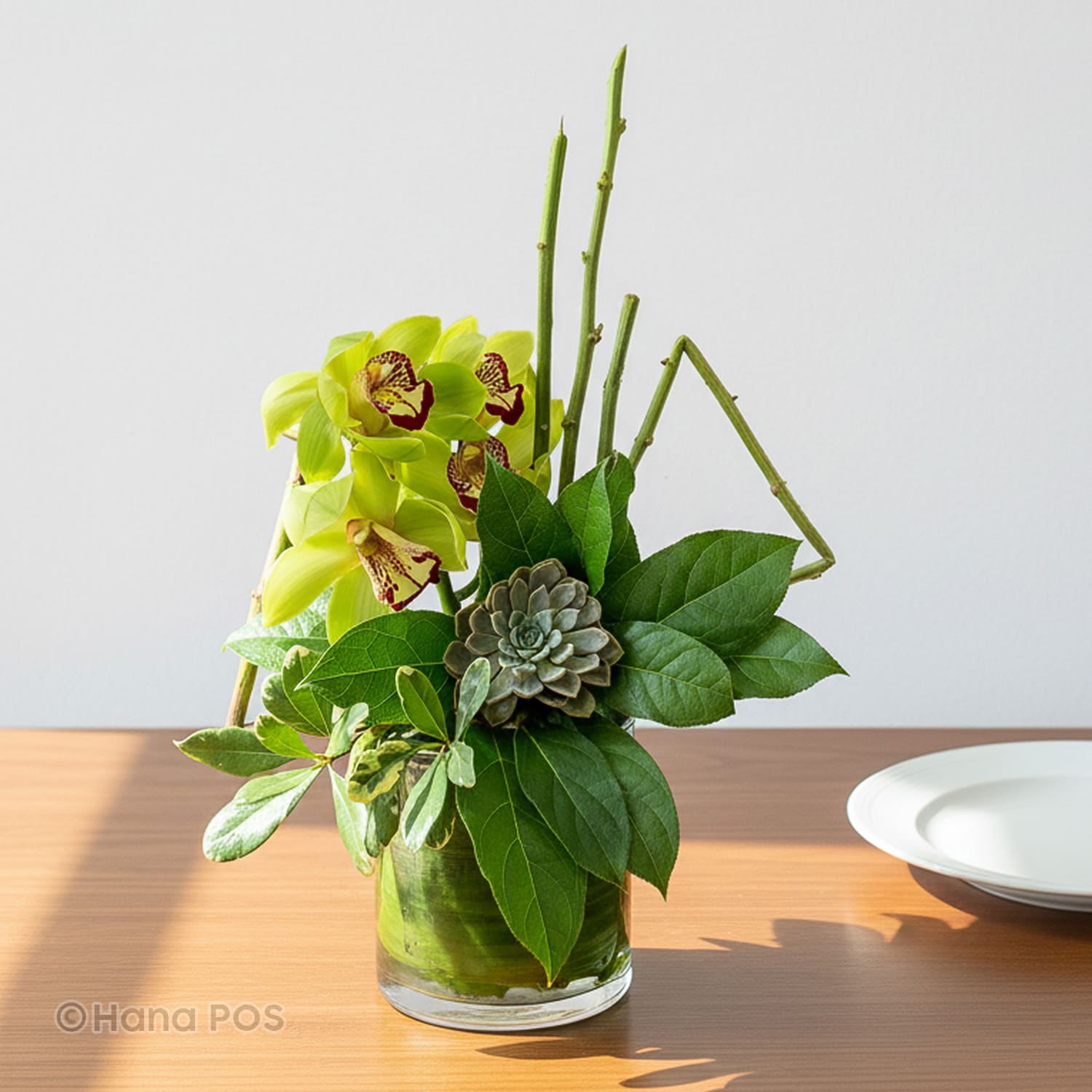 Succulent Spring