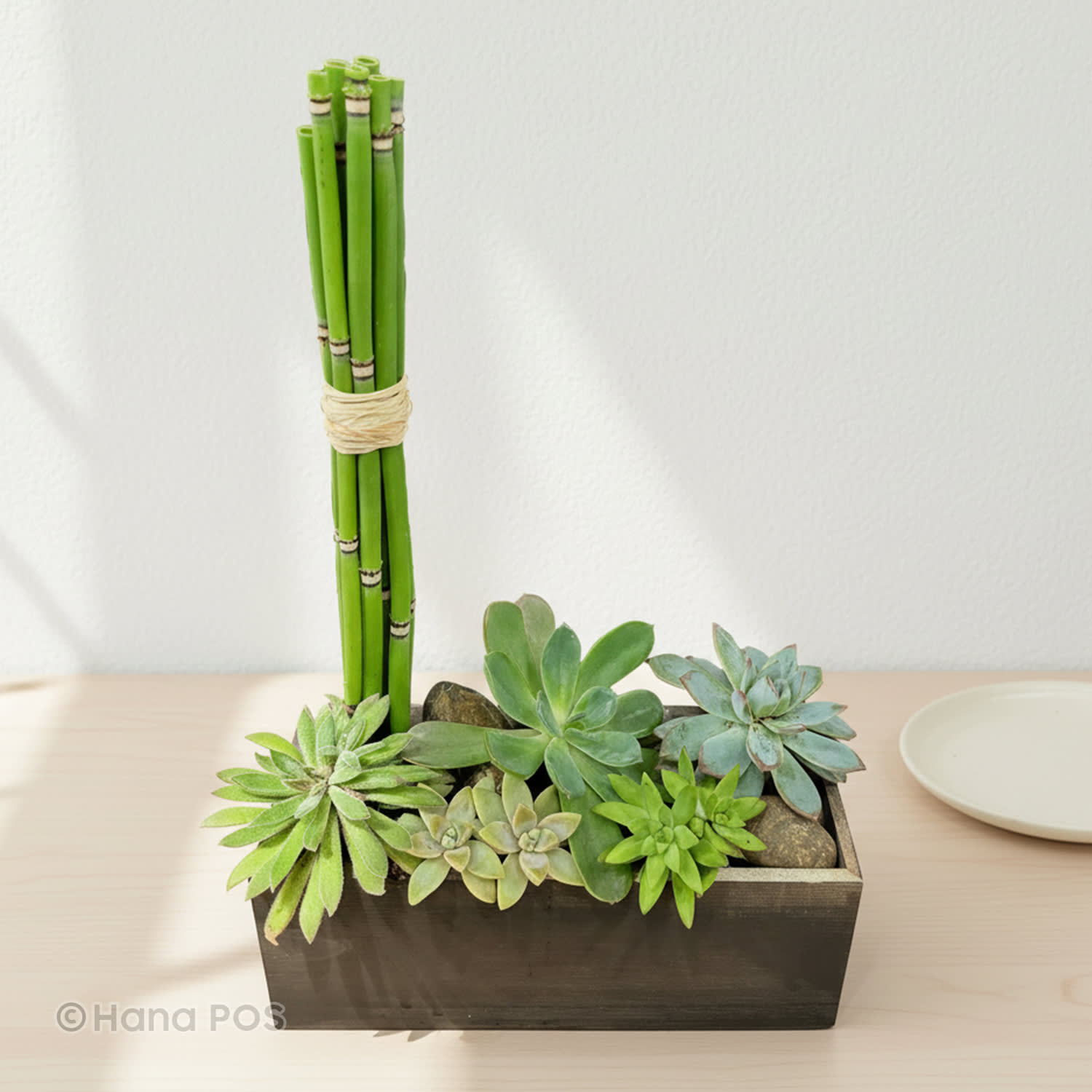 Zen Garden Box
