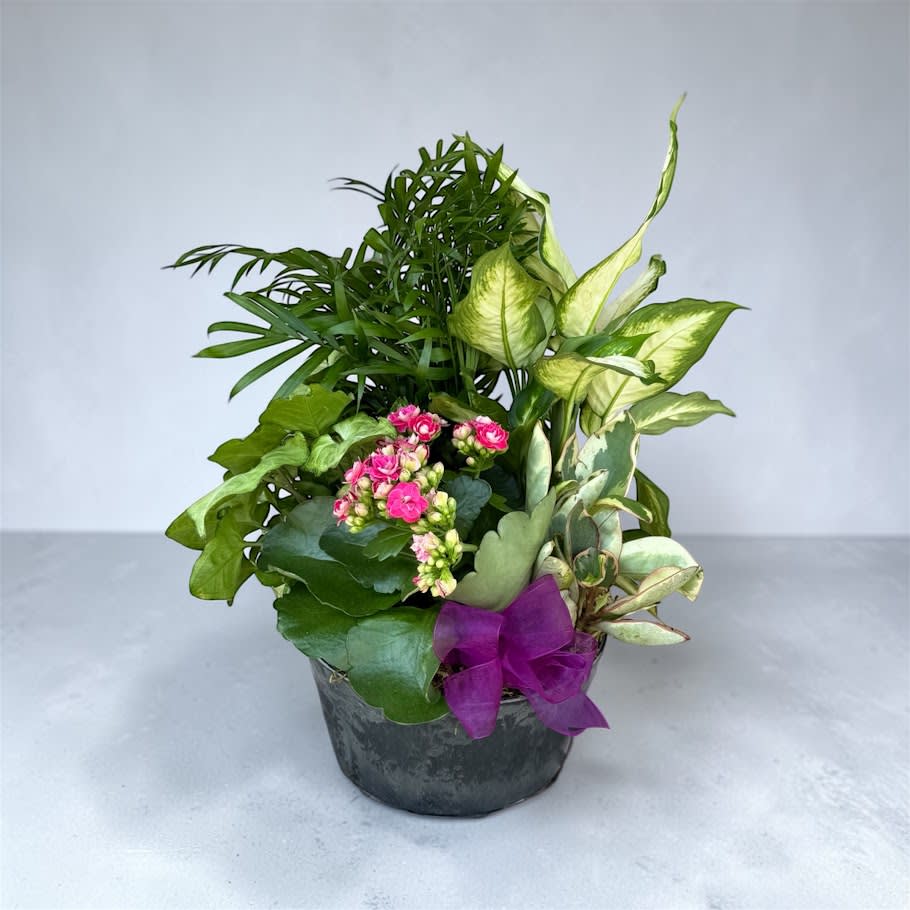 Dish Garden Flower Bouquet