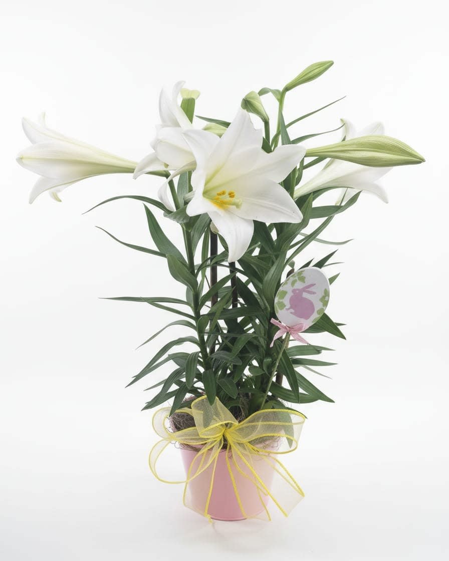 Easter Lily Flower Bouquet