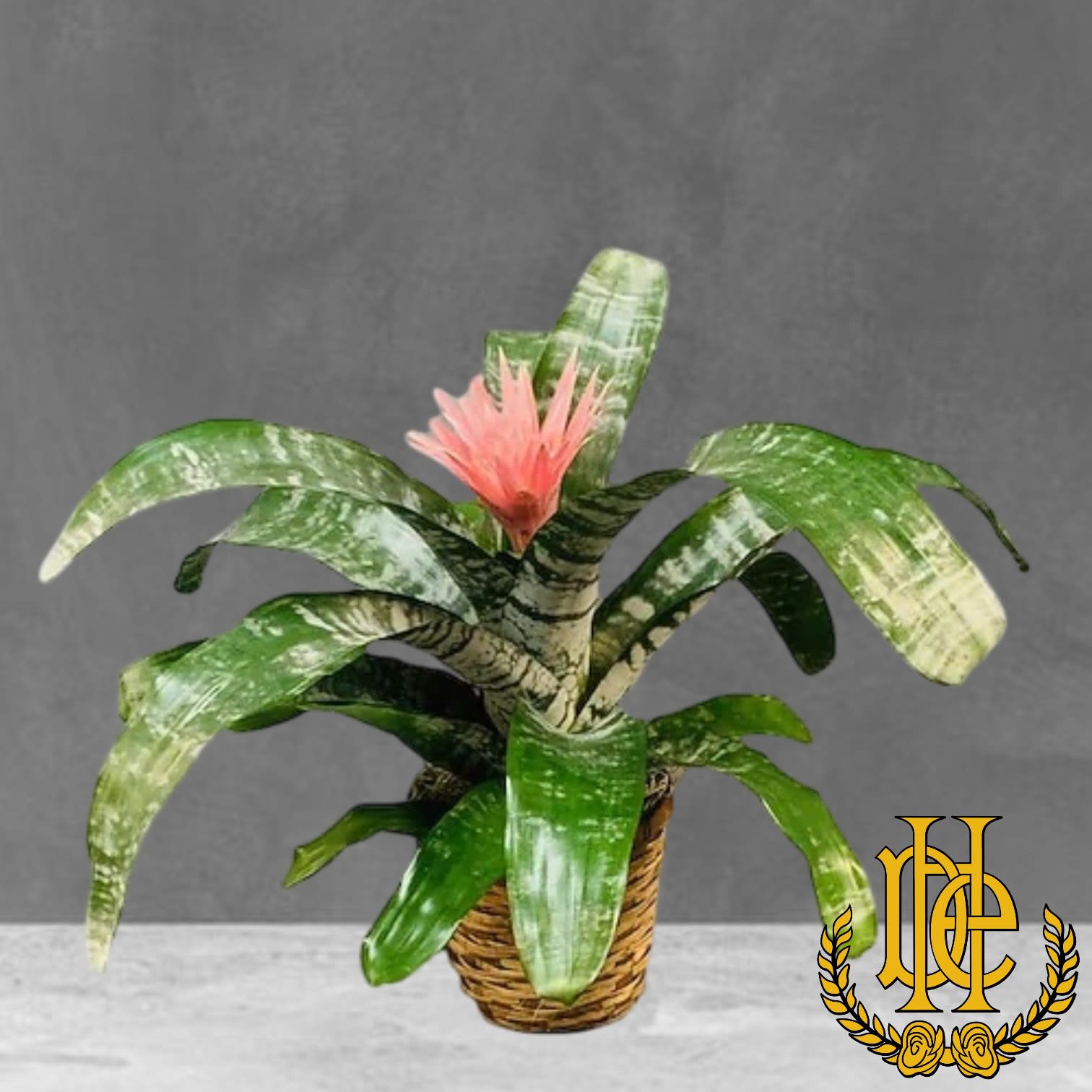 Bromelaid Silver Vase