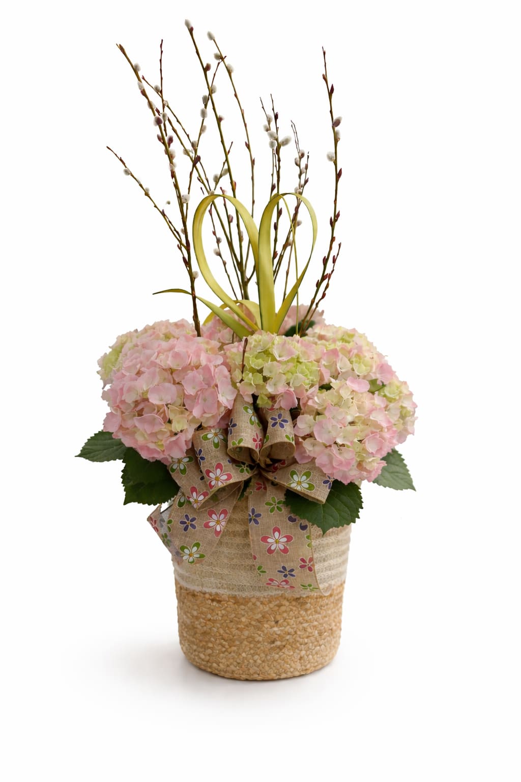 Hydrangea Pink