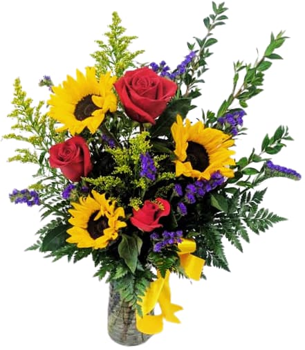 Sunfire Elegance V-1509