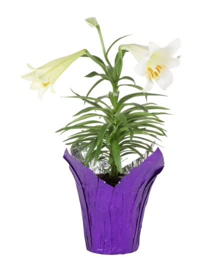 Easter Lily Flower Bouquet