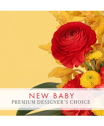 PRECIOUS NEW BABY
PREMIUM DESIGNER'S CHOICE