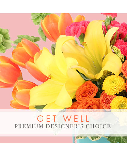 PREMIUM GET WELL FLORALS
DESIGNER'S CHOICE