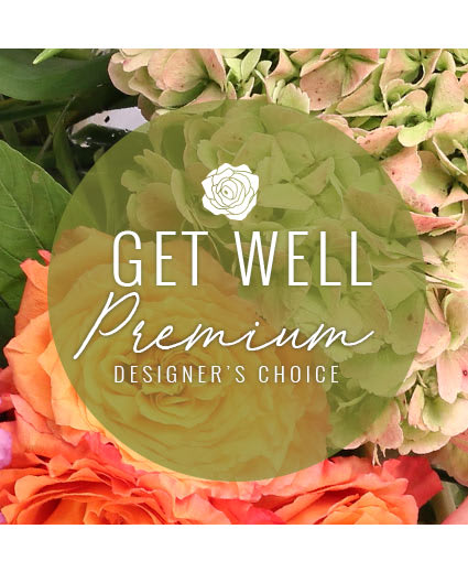 PREMIUM GET WELL FLOWERS
DESIGNER'S CHOICE