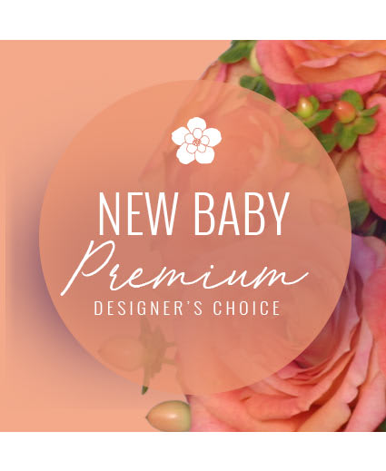 STYLISH NEW BABY
PREMIUM DESIGNER'S CHOICE