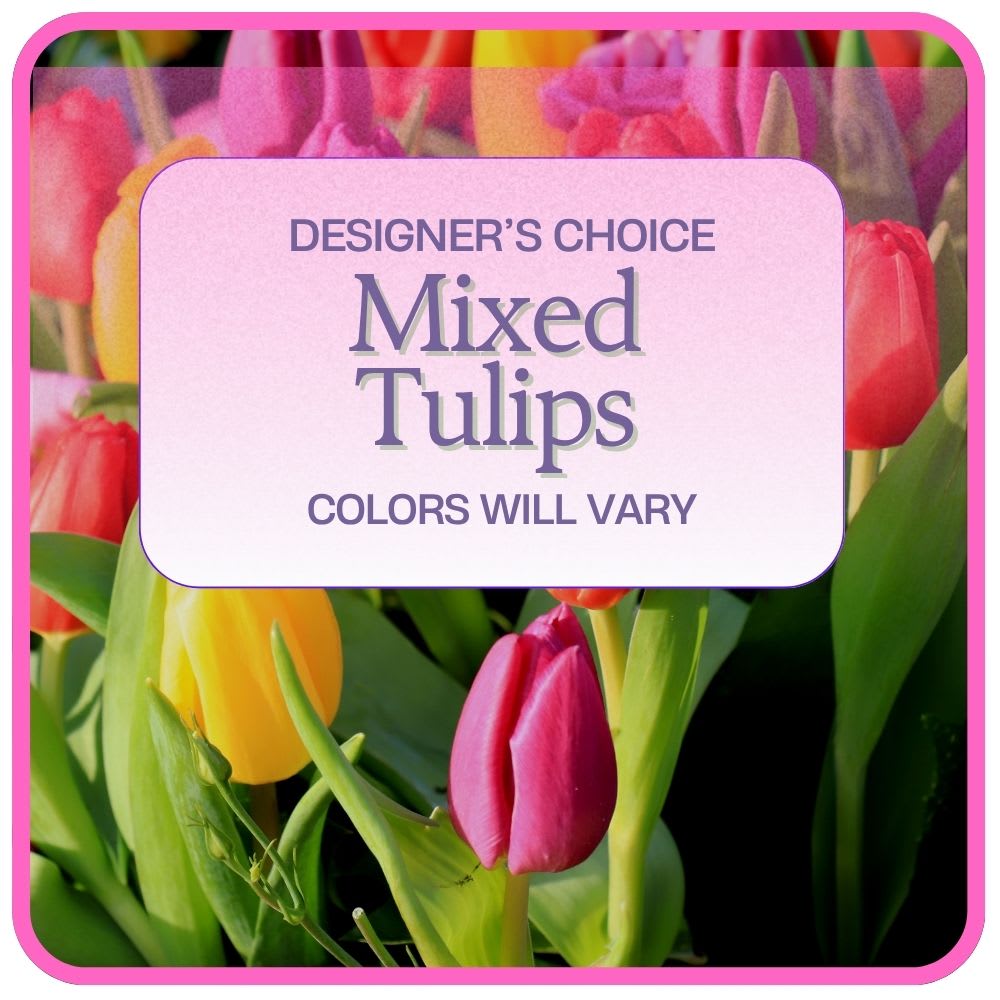 Designer's Choice Mixed Tulips