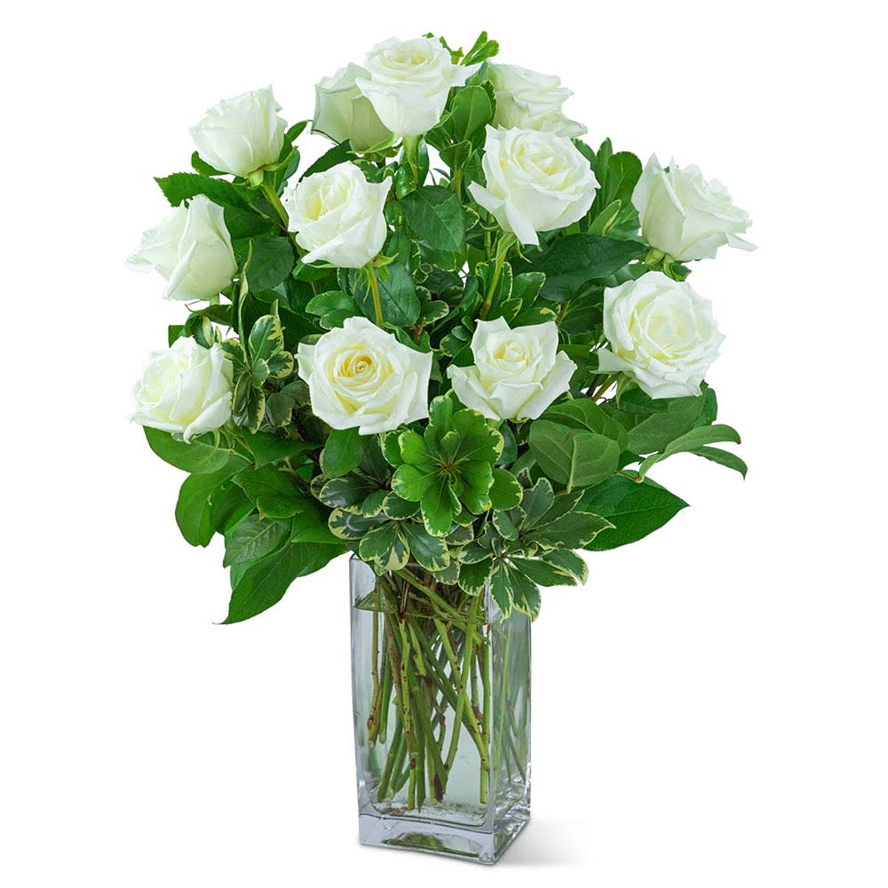 White Roses (12) Flower Bouquet