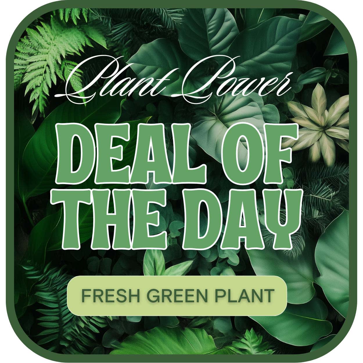 Green Plant Deal of the Day