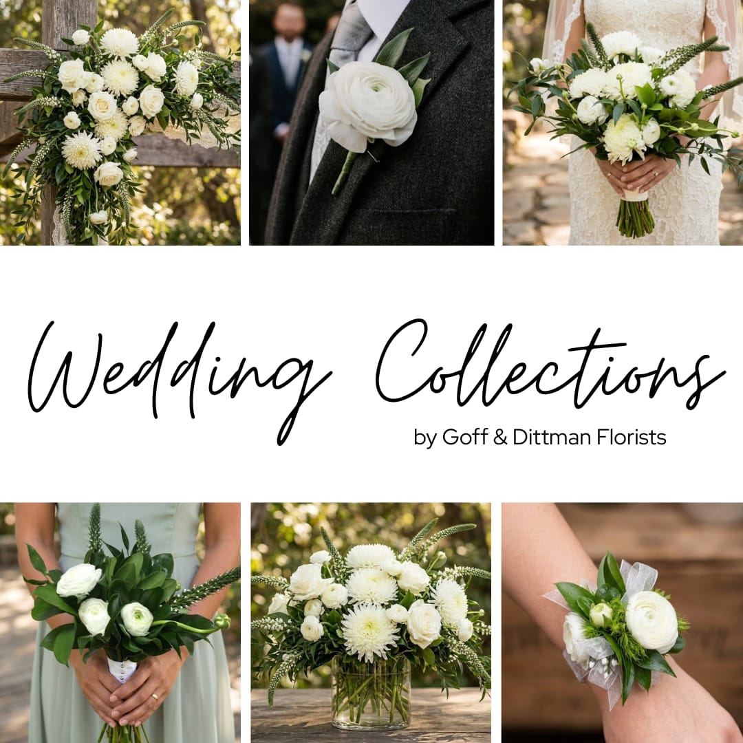 Ivory Wedding Collection
