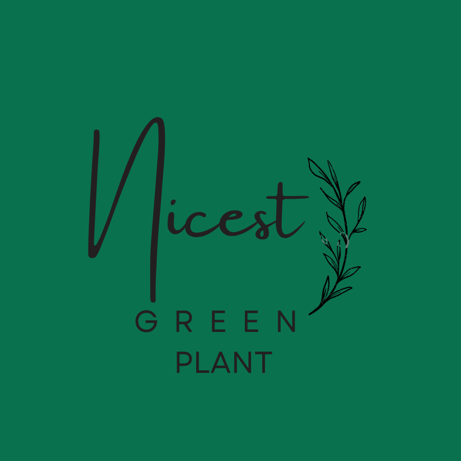 Nicest Green Plant
