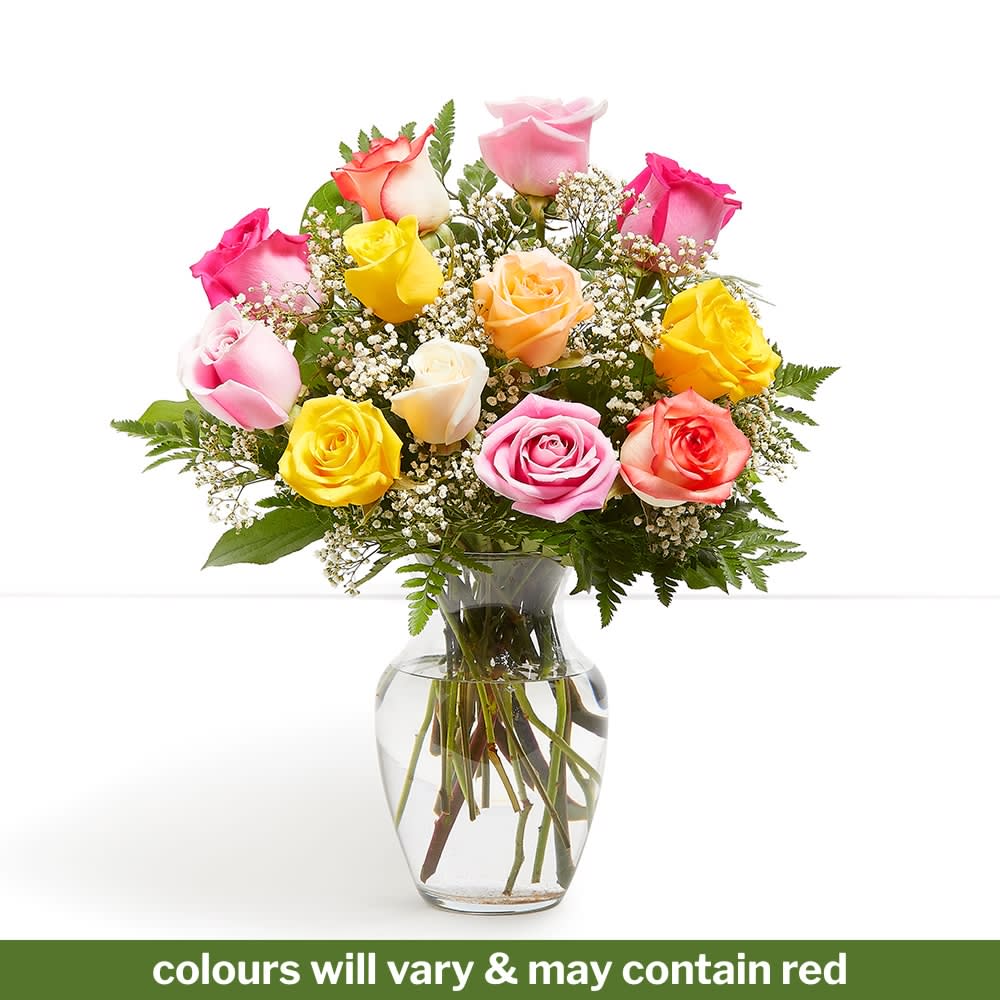 Timeless - One Dozen Mixed Colour Roses Flower Bouquet