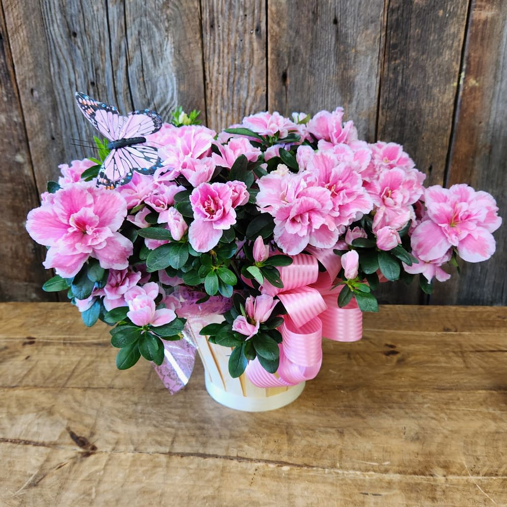 Azalea Plant Flower Bouquet