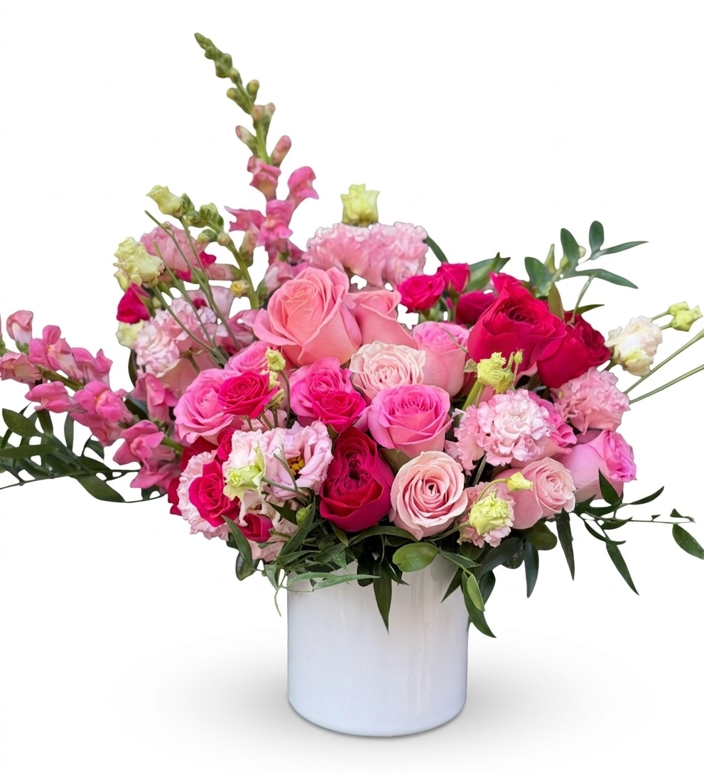 Get Well and Hospital Delivery  