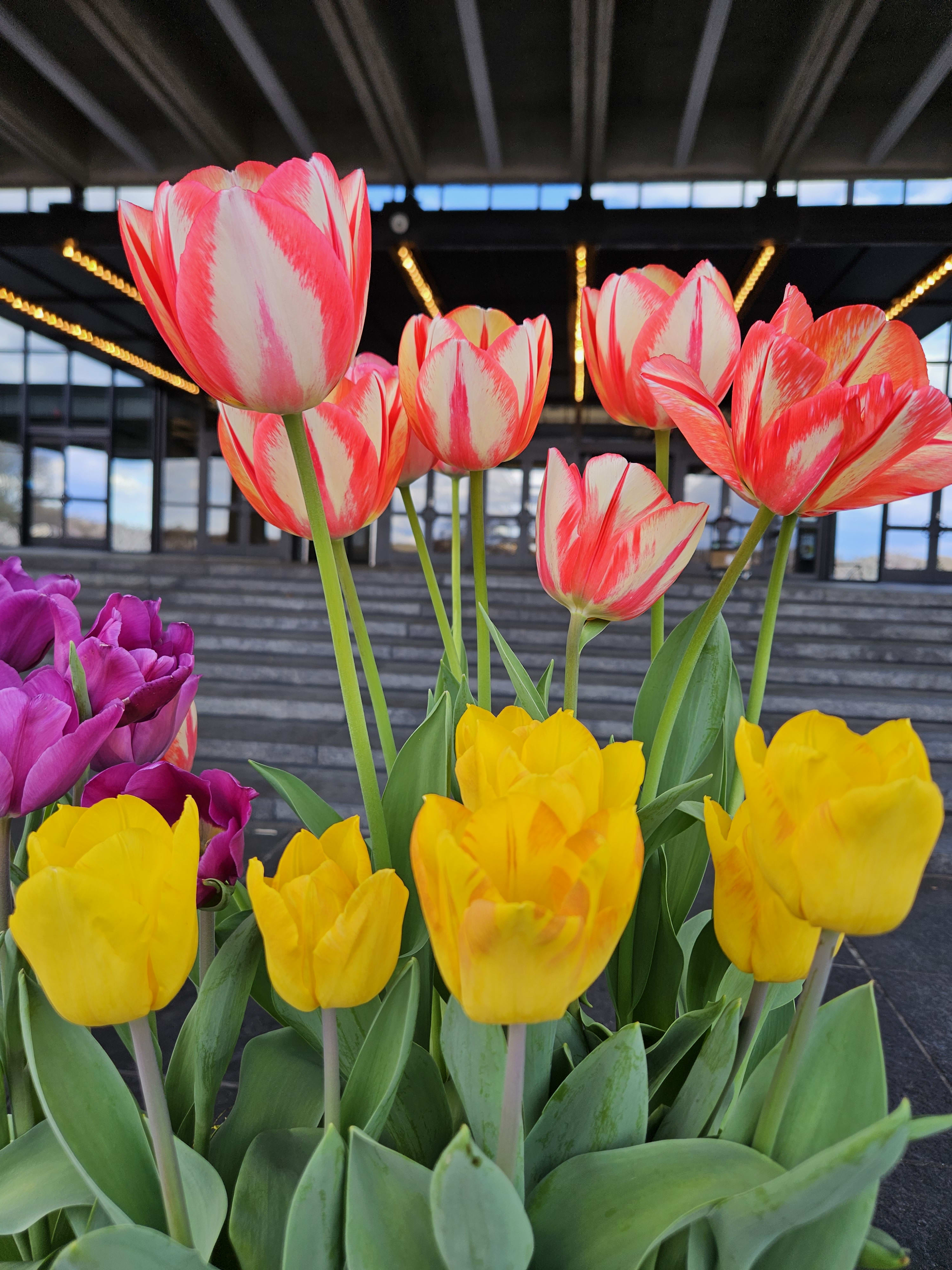 Holmdel, NJ – Same-Day Flower Delivery