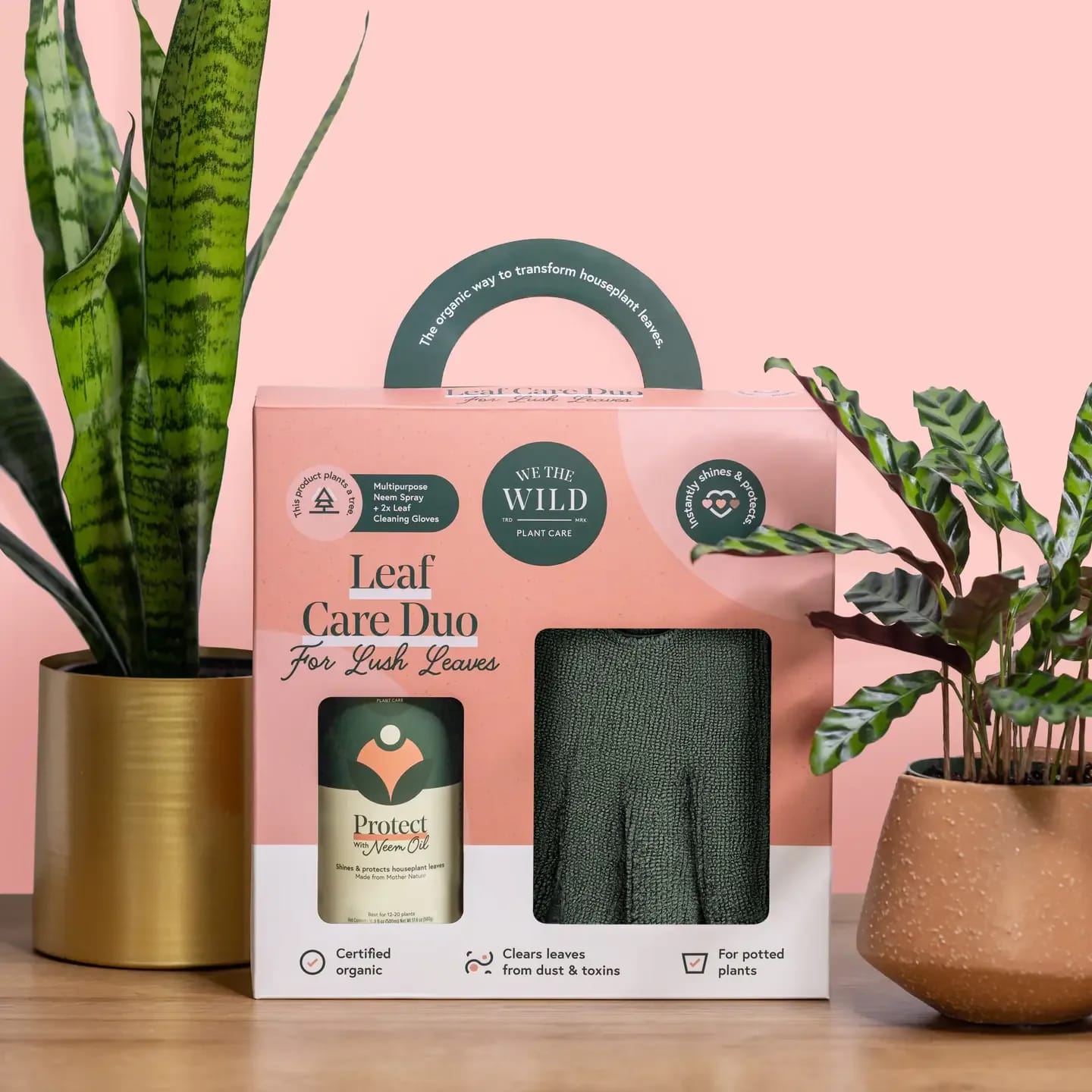 Leaf Care Duo Flower Bouquet