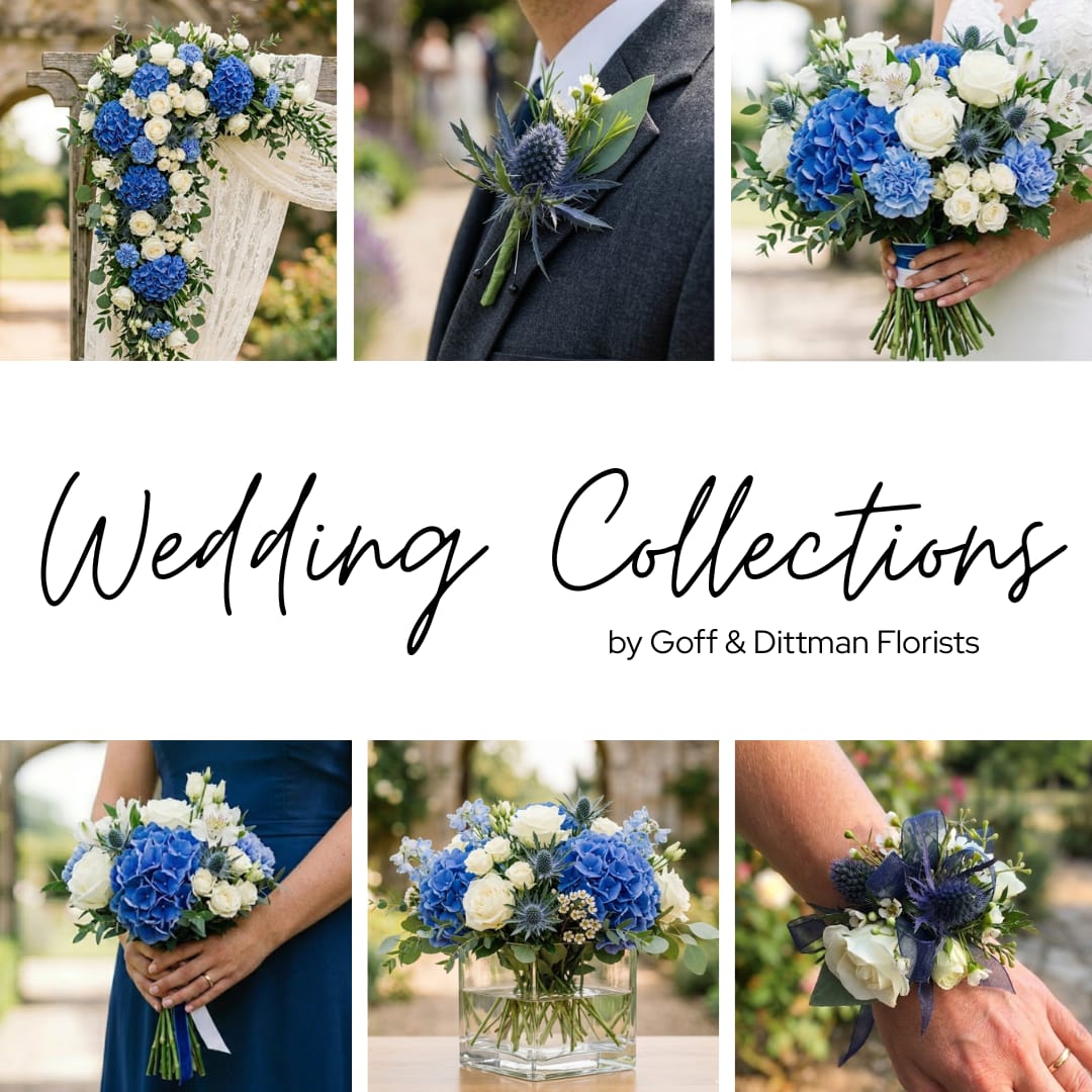 Sapphire Wedding Collection