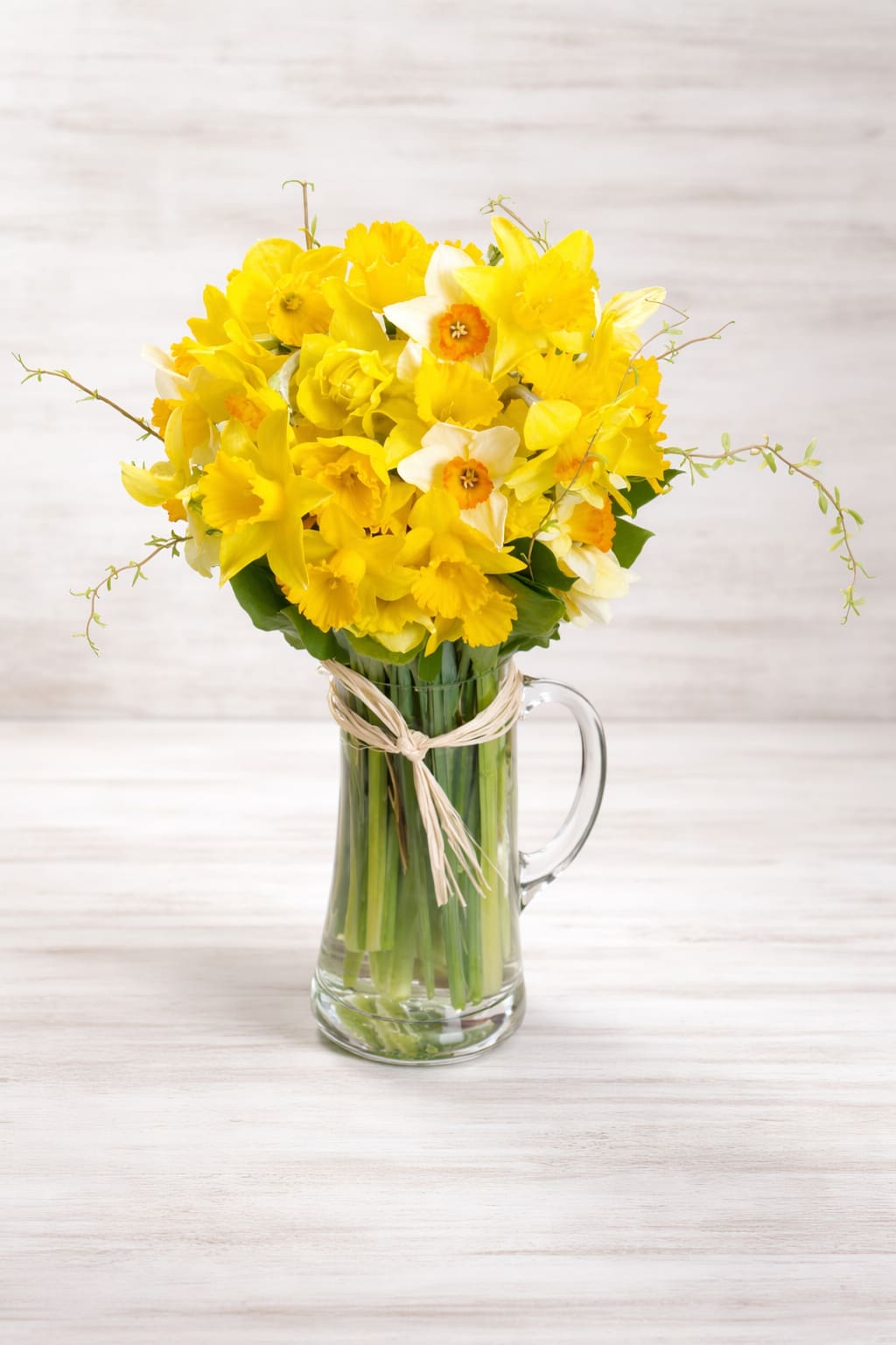 Cylinder Daffodil Vase with Curly Willow and Raffia-wrap Flower Bouquet