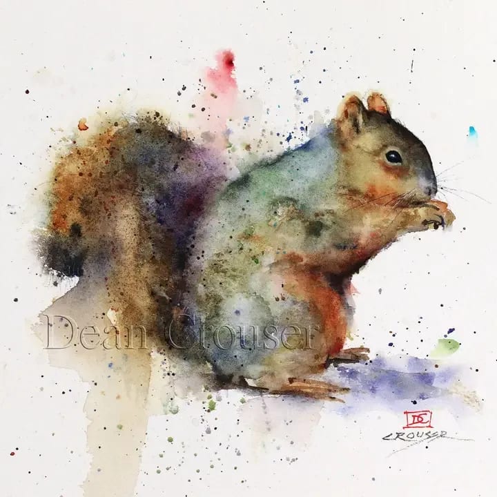 Squirrel Card