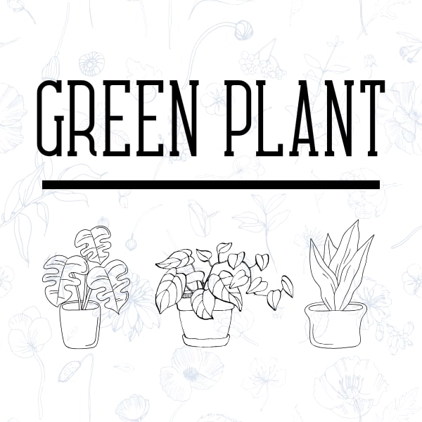Green Plant