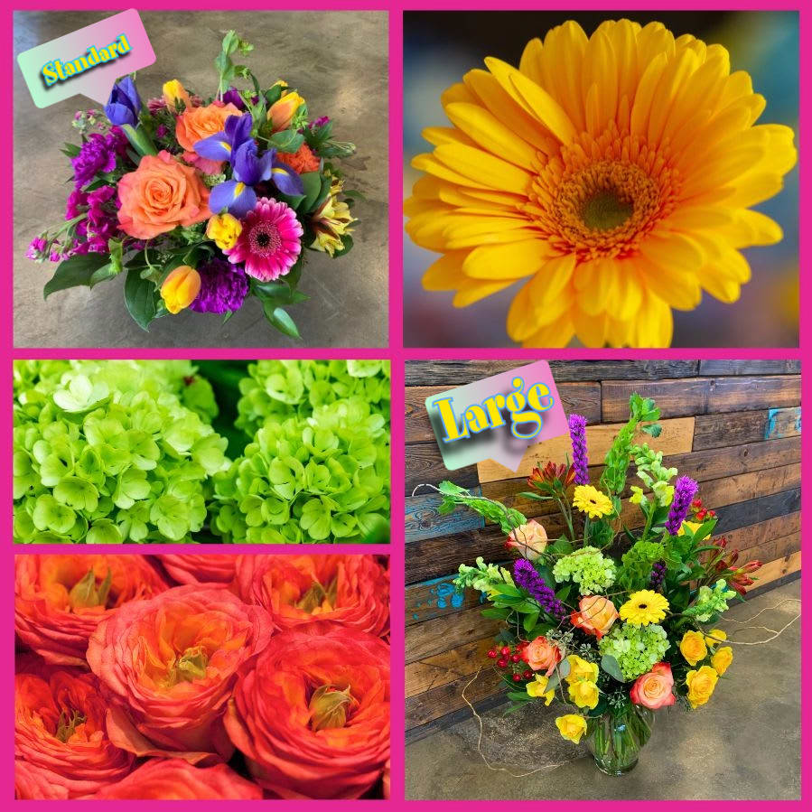 Hey Mama Designer's Choice