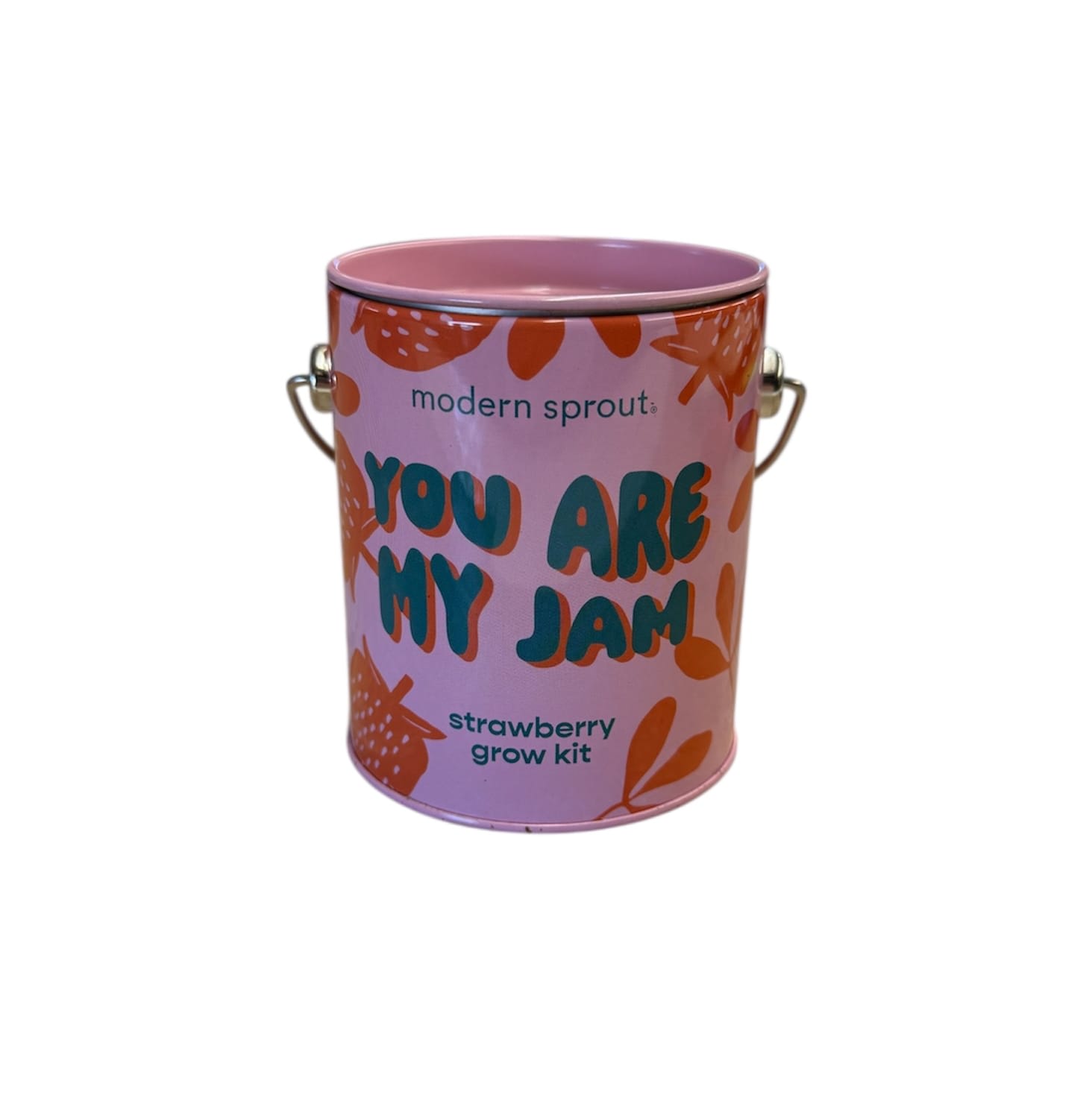 Strawberry Grow Kit